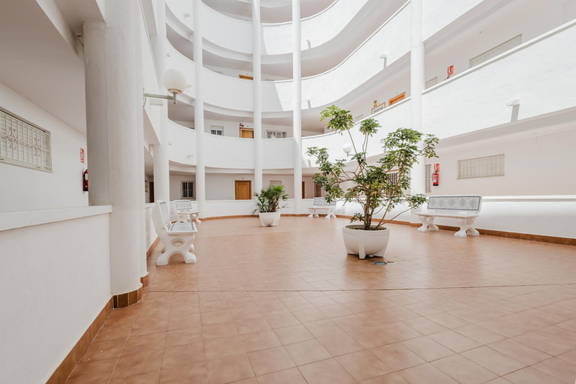 Segunda mano - Apartamento -
Torrevieja - Costa Blanca