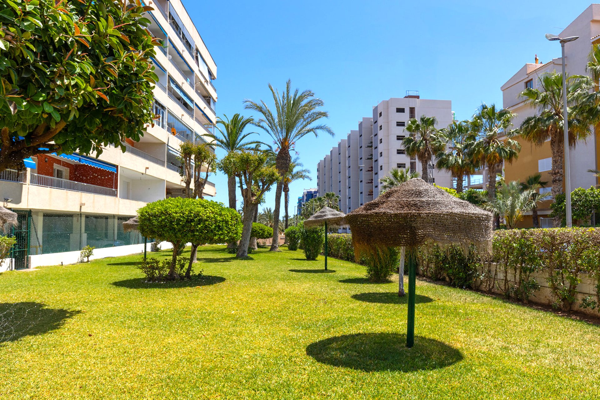 Segunda mano - Apartamento -
Torrevieja - Costa Blanca