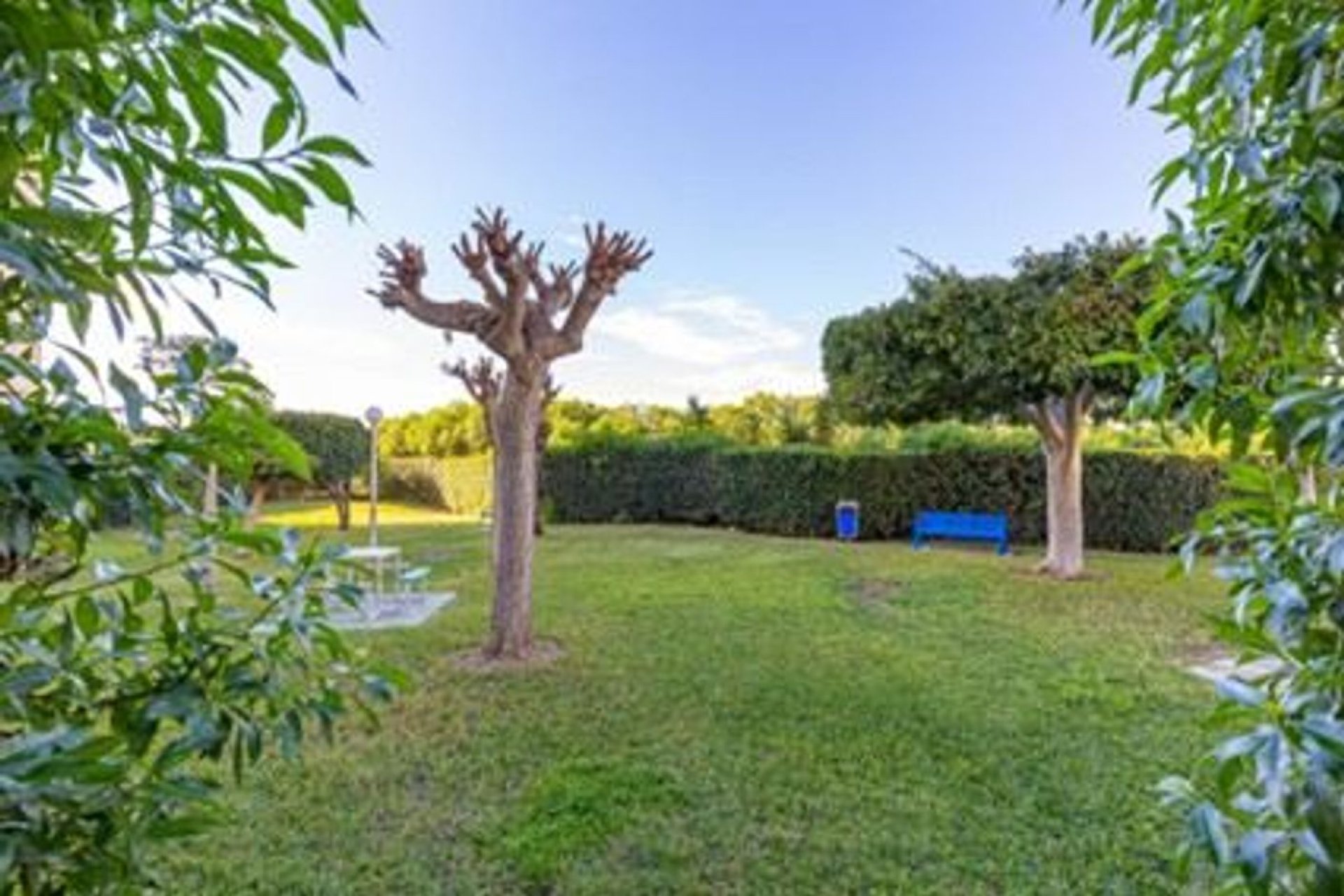 Segunda mano - Apartamento -
Torrevieja - Costa Blanca