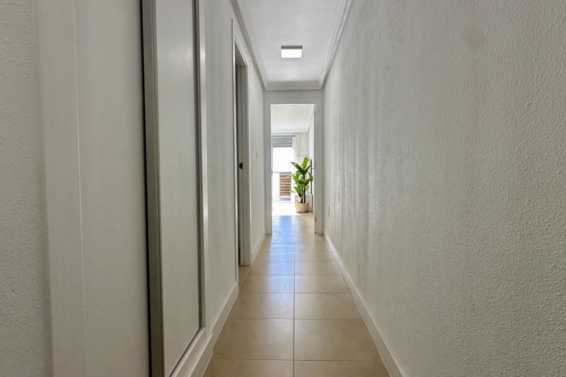 Segunda mano - Apartamento -
Torrevieja - Costa Blanca