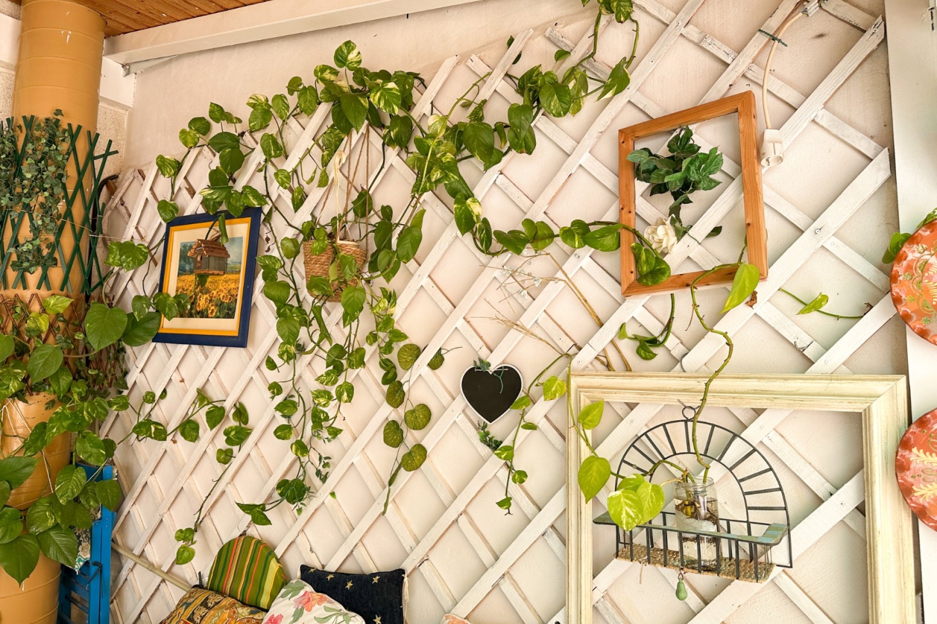 Segunda mano - Apartamento -
Torrevieja - Costa Blanca