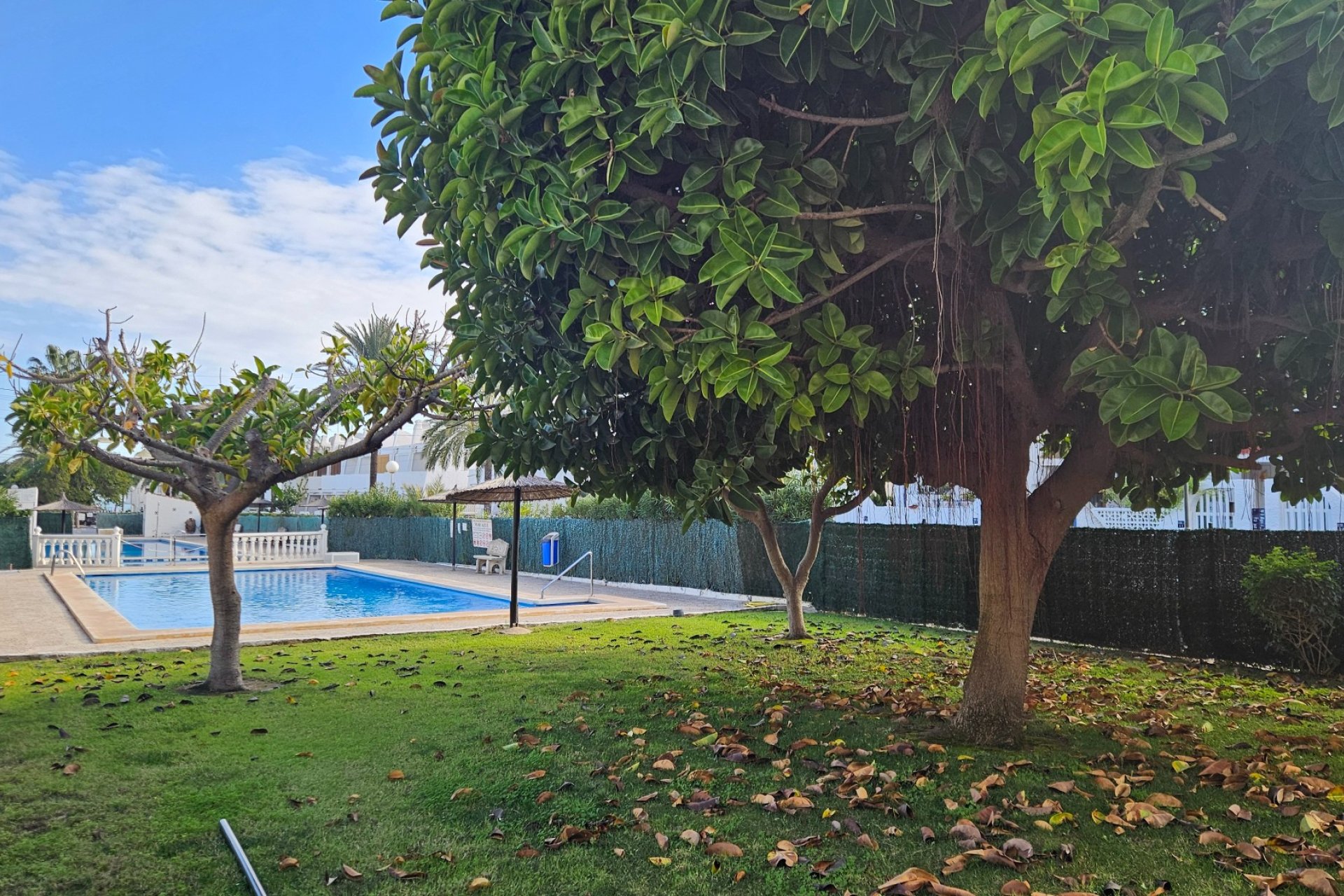 Segunda mano - Apartamento -
Torrevieja - Costa Blanca