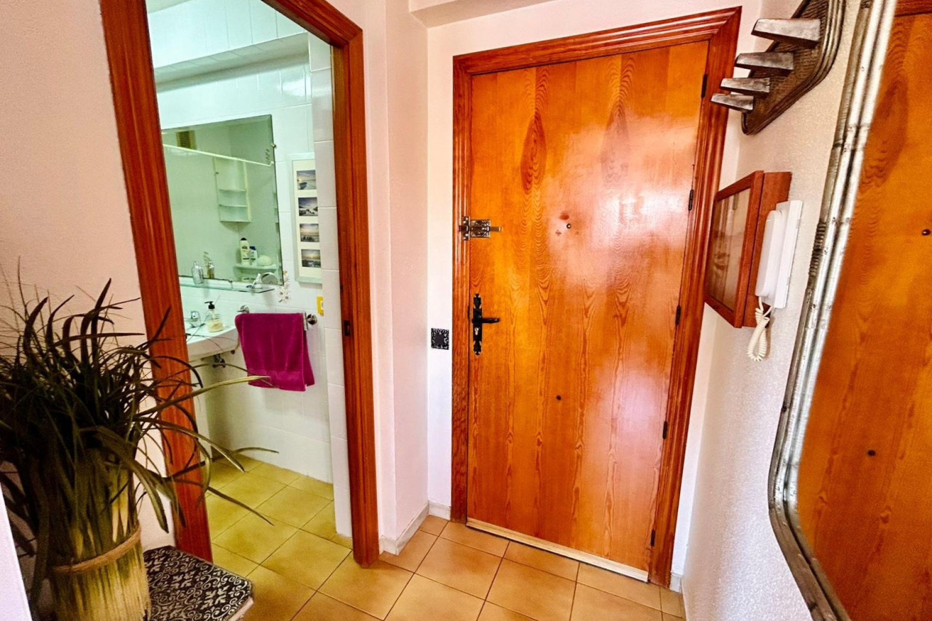 Segunda mano - Apartamento -
Torrevieja - Costa Blanca