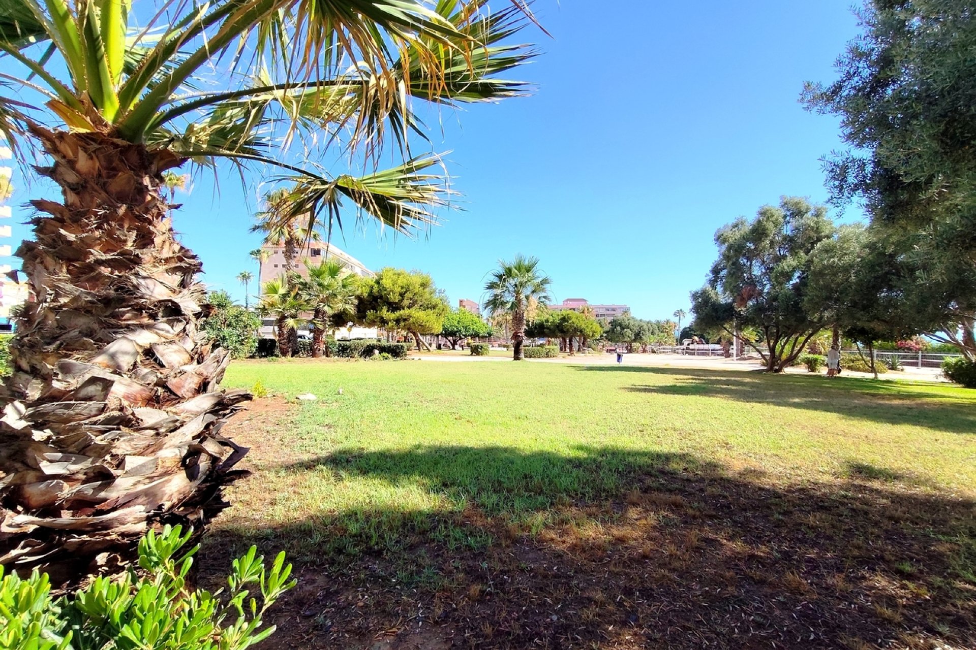 Segunda mano - Apartamento -
Torrevieja - Costa Blanca
