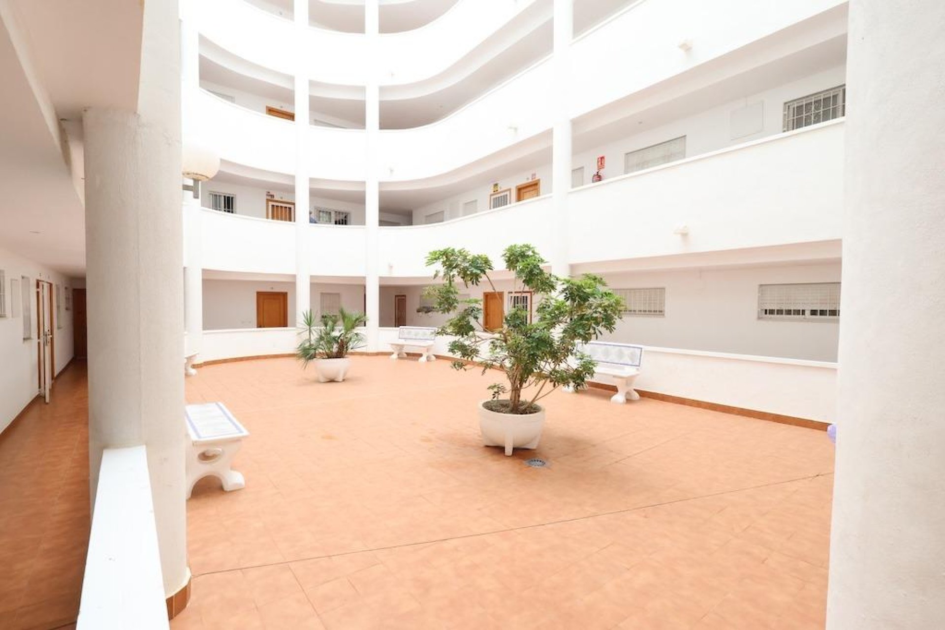 Segunda mano - Apartamento -
Torrevieja - Costa Blanca
