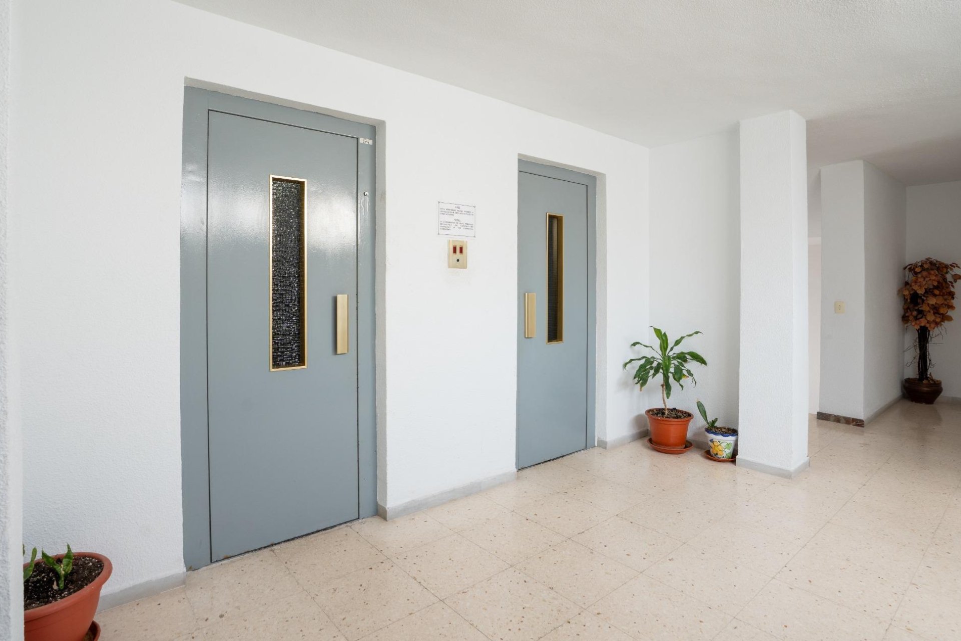 Segunda mano - Apartamento -
Torrevieja - El Acequión - Los Náufragos