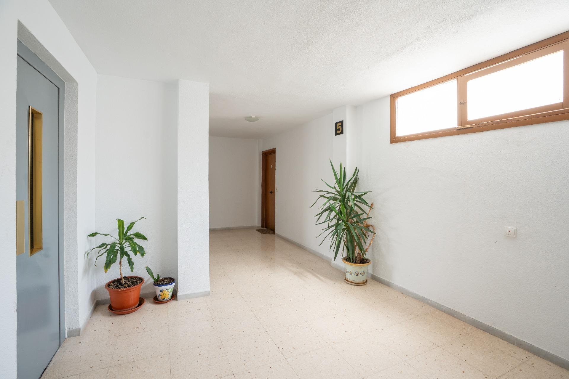 Segunda mano - Apartamento -
Torrevieja - El Acequión - Los Náufragos