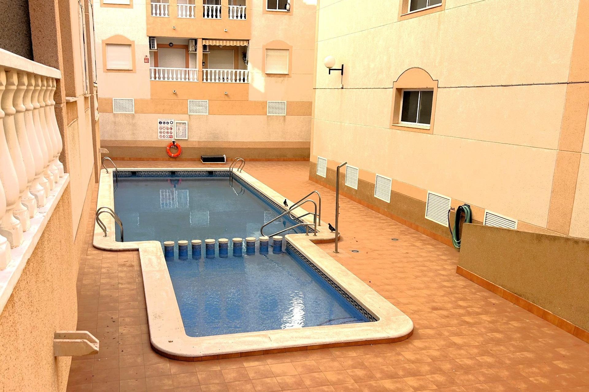 Segunda mano - Apartamento -
Torrevieja - El Molino
