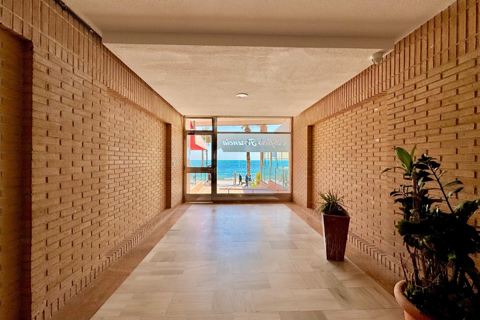 Segunda mano - Apartamento -
Torrevieja - Estacion De Autobuses