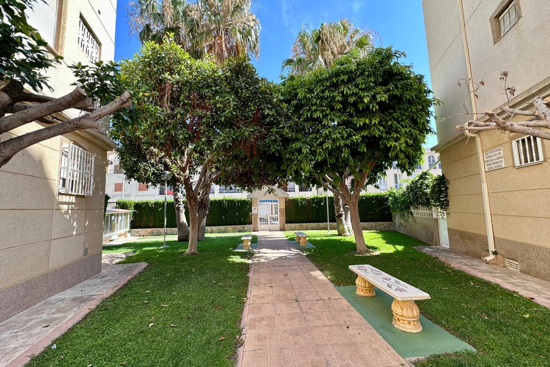 Segunda mano - Apartamento -
Torrevieja - Habaneras