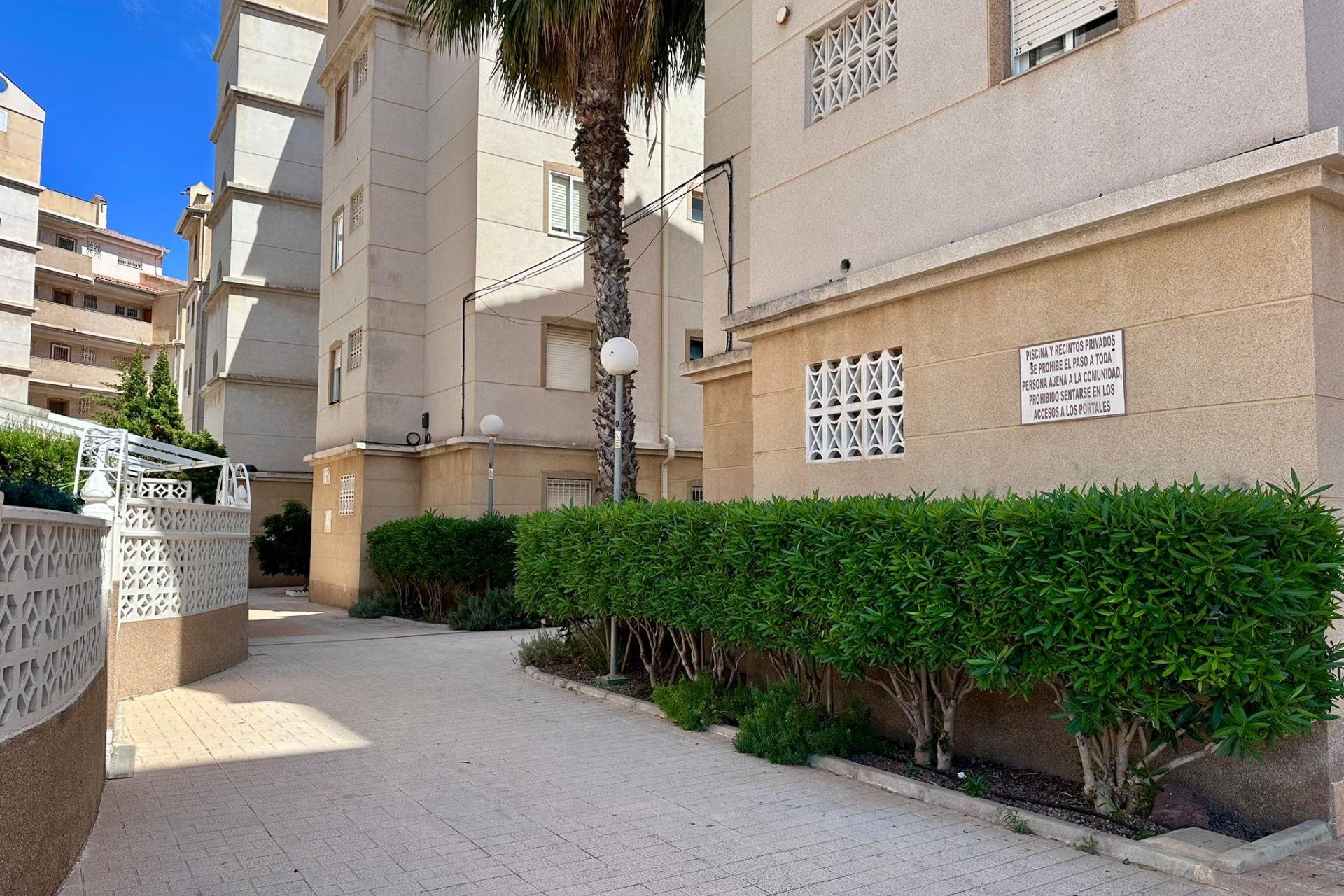 Segunda mano - Apartamento -
Torrevieja - Habaneras