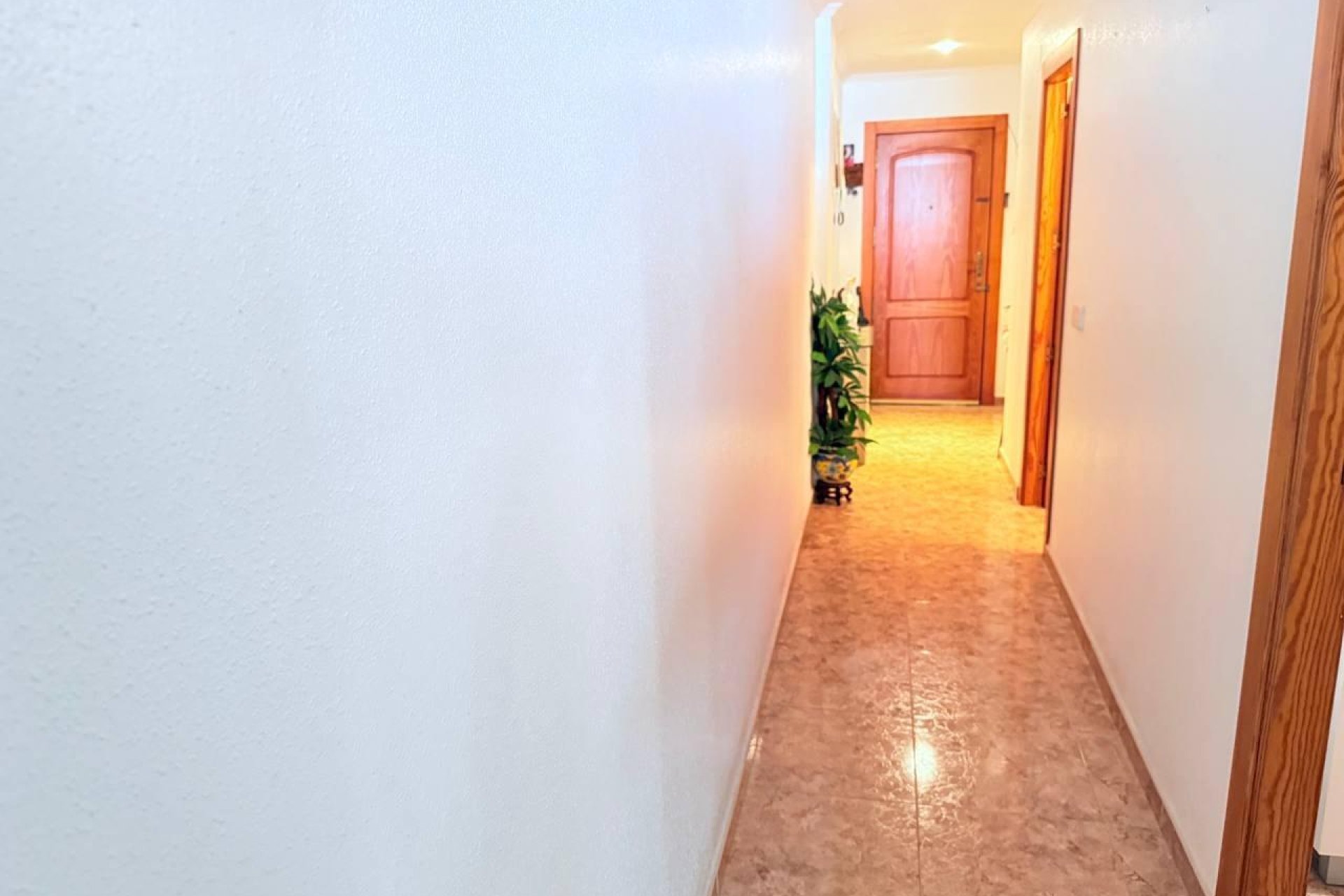 Segunda mano - Apartamento -
Torrevieja - La Mata