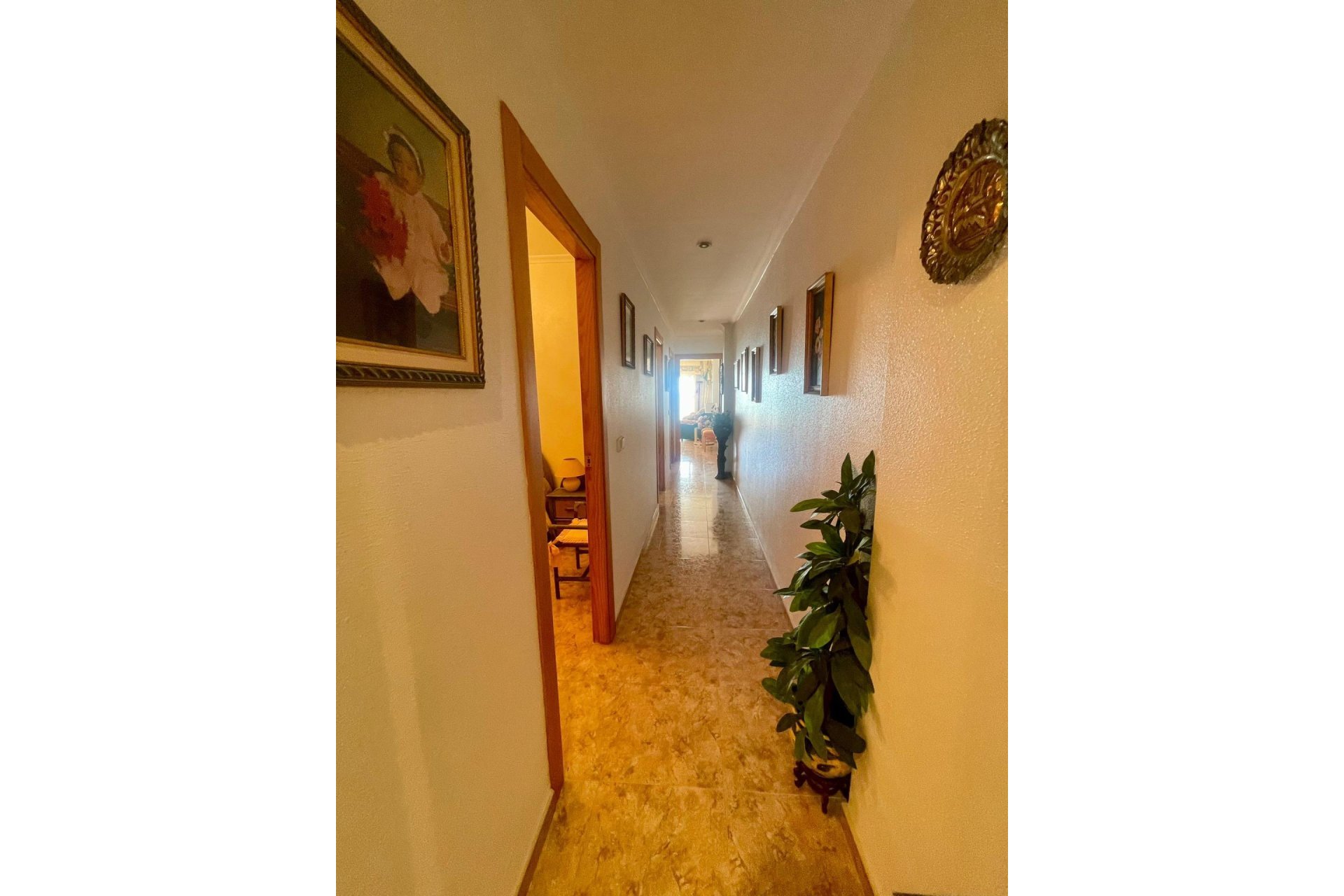 Segunda mano - Apartamento -
Torrevieja - La Mata