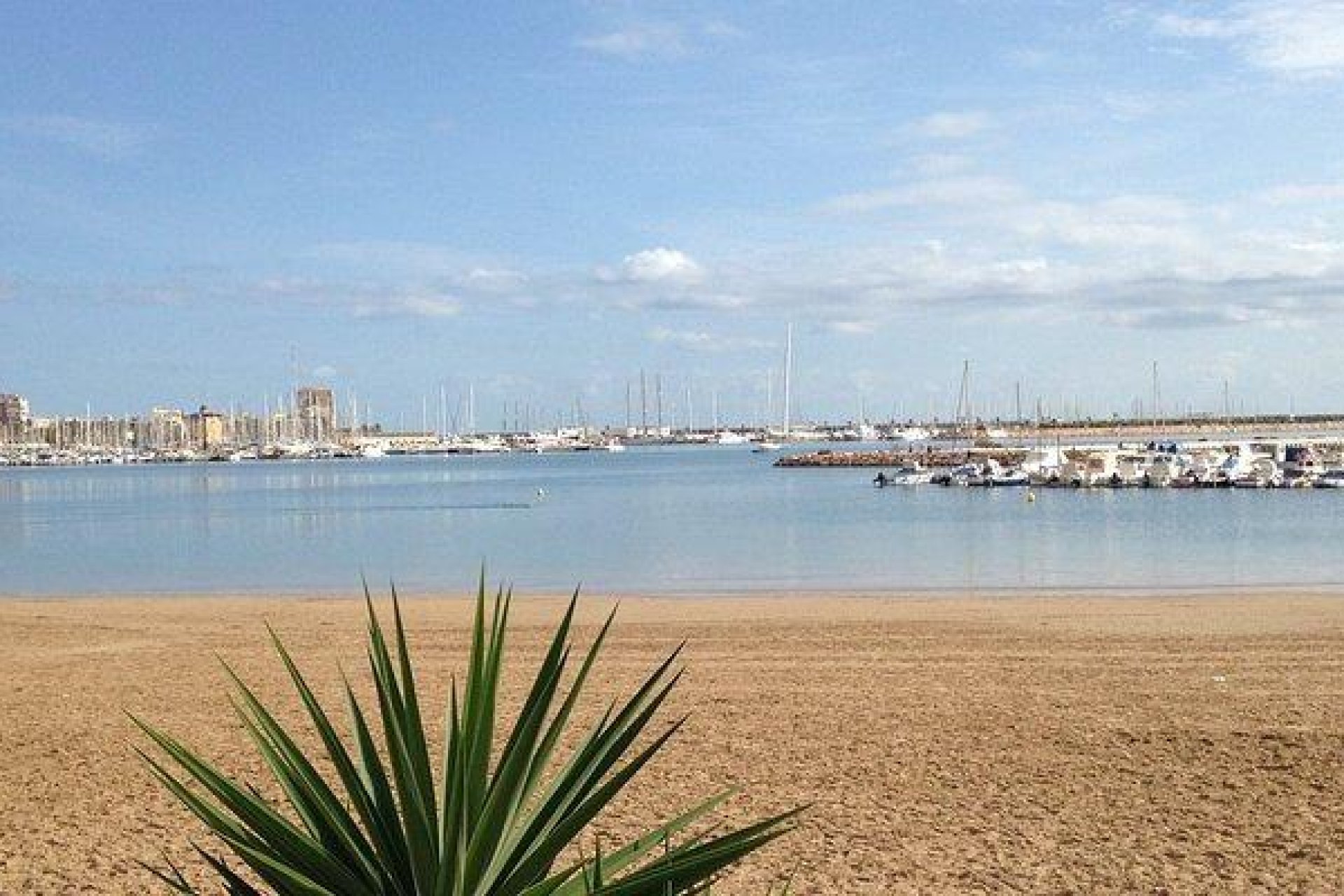 Segunda mano - Apartamento -
Torrevieja - Parque Las Naciones