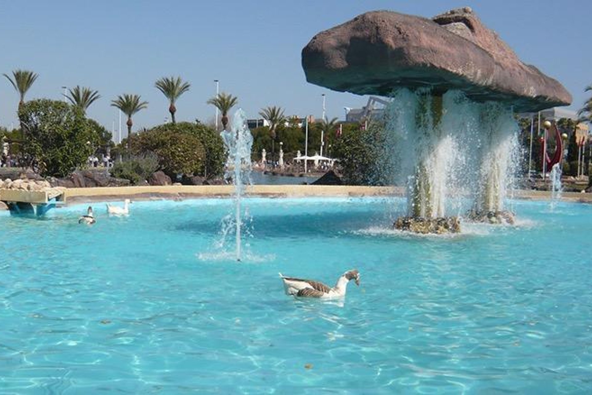 Segunda mano - Apartamento -
Torrevieja - Parque Las Naciones