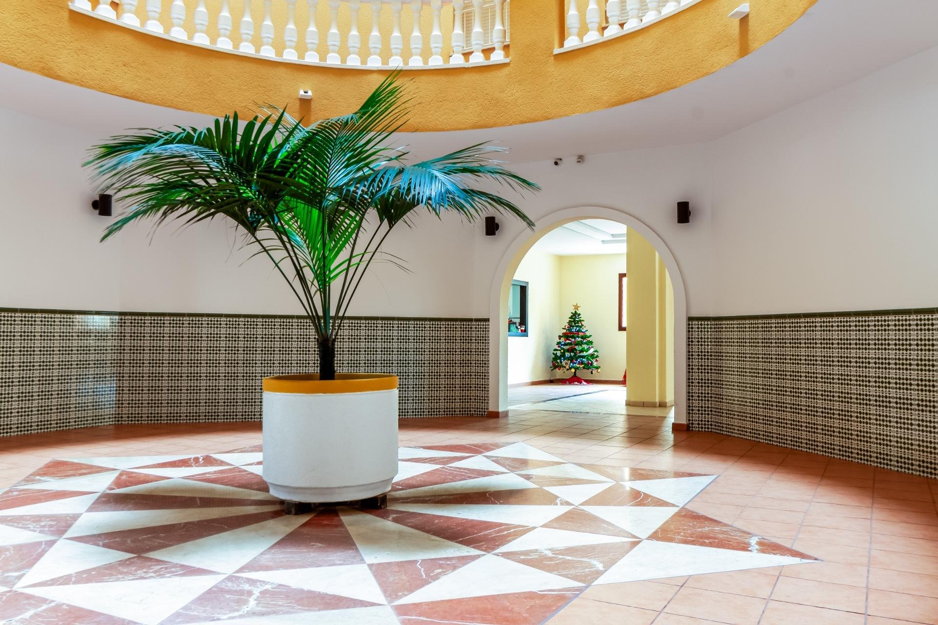 Segunda mano - Apartamento -
Torrevieja - Playa de los Locos