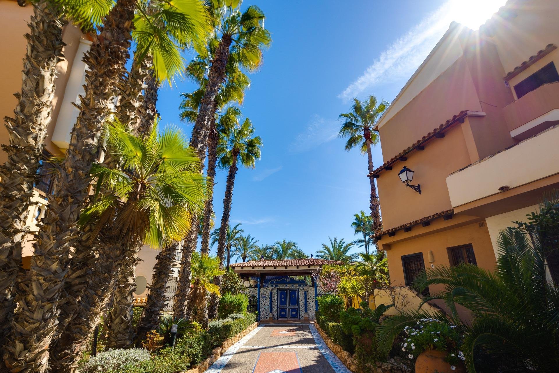 Segunda mano - Apartamento -
Torrevieja - Playa de los Locos