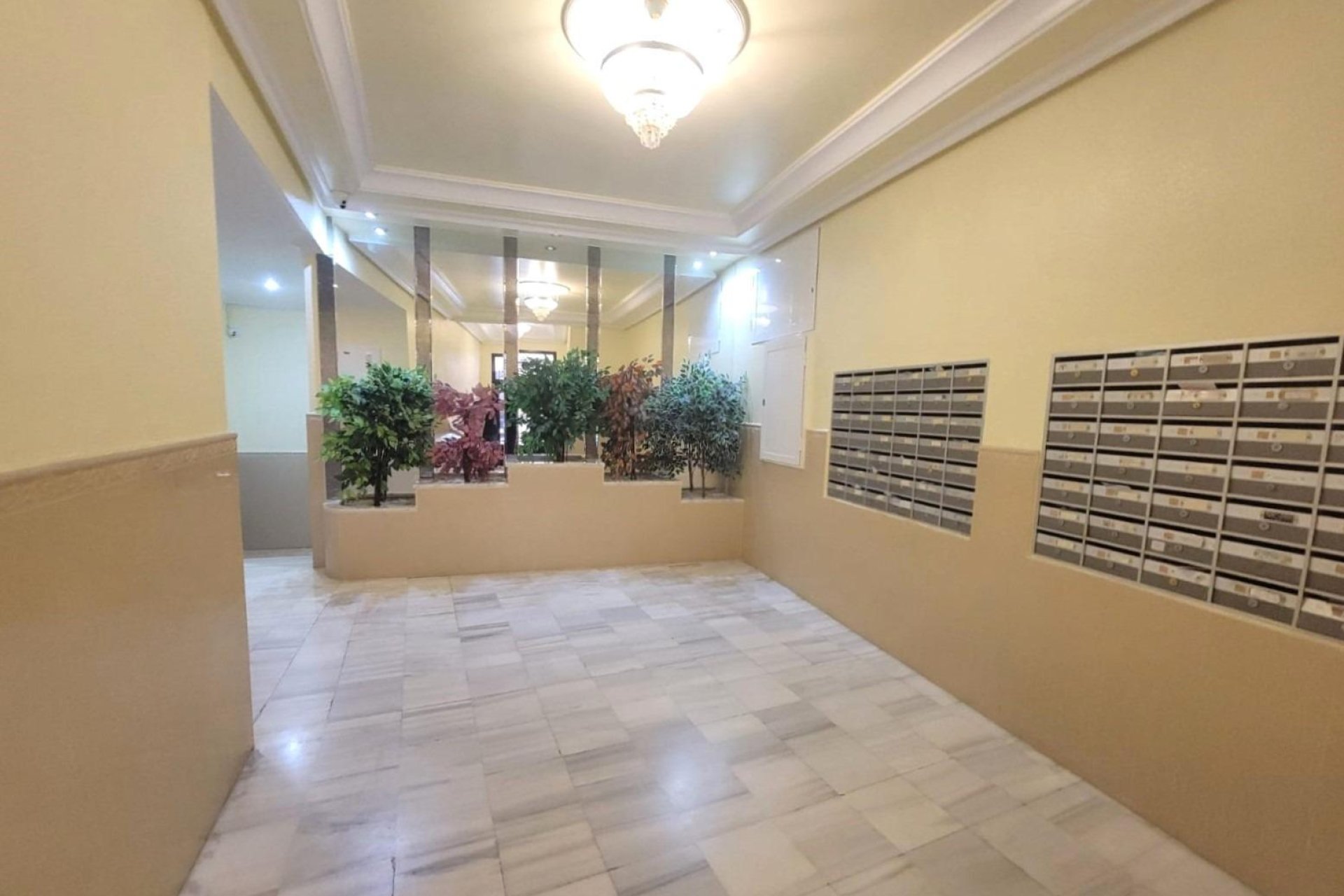 Segunda mano - Apartamento -
Torrevieja - Playa del Cura