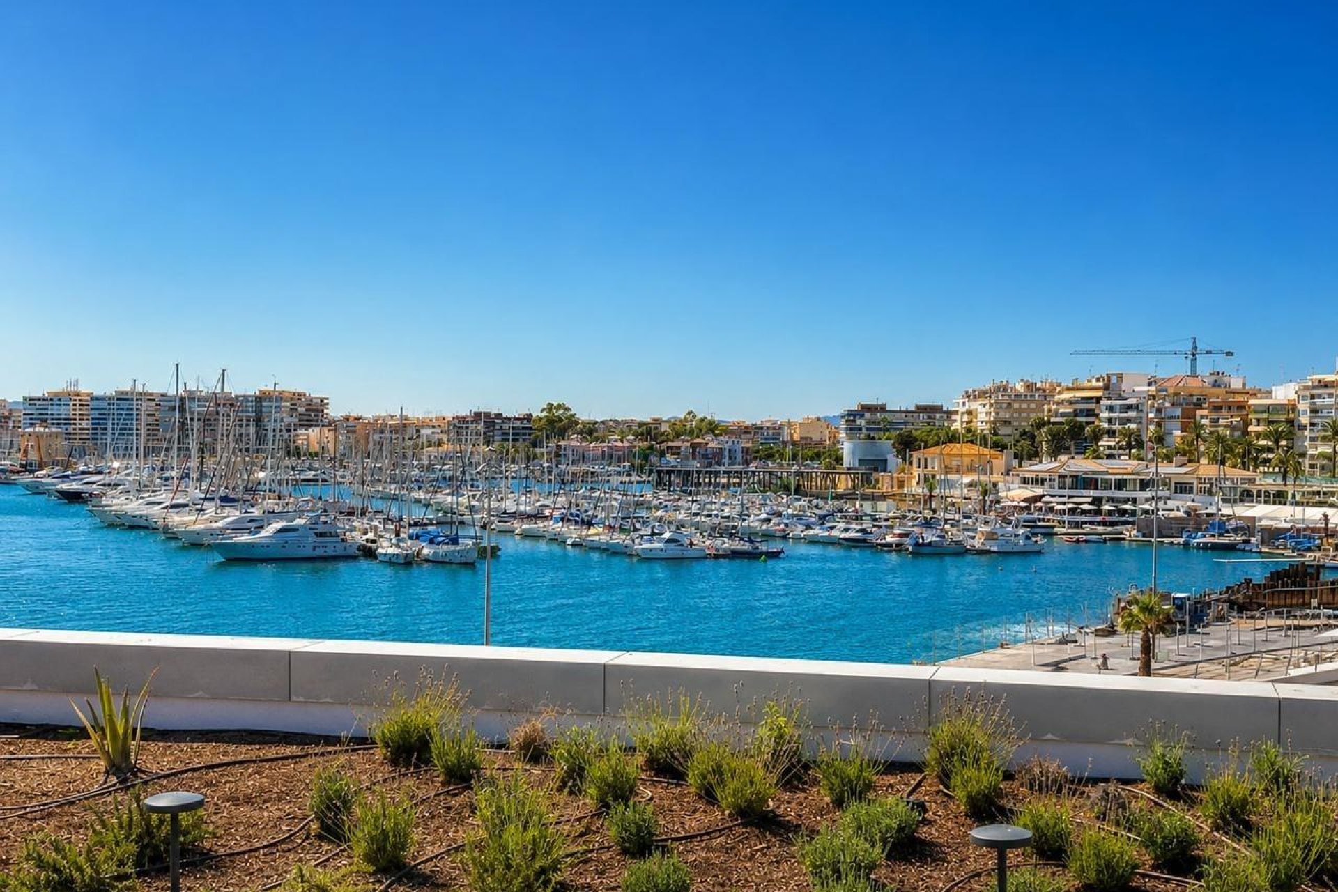 Segunda mano - Apartamento -
Torrevieja - Playa del Cura