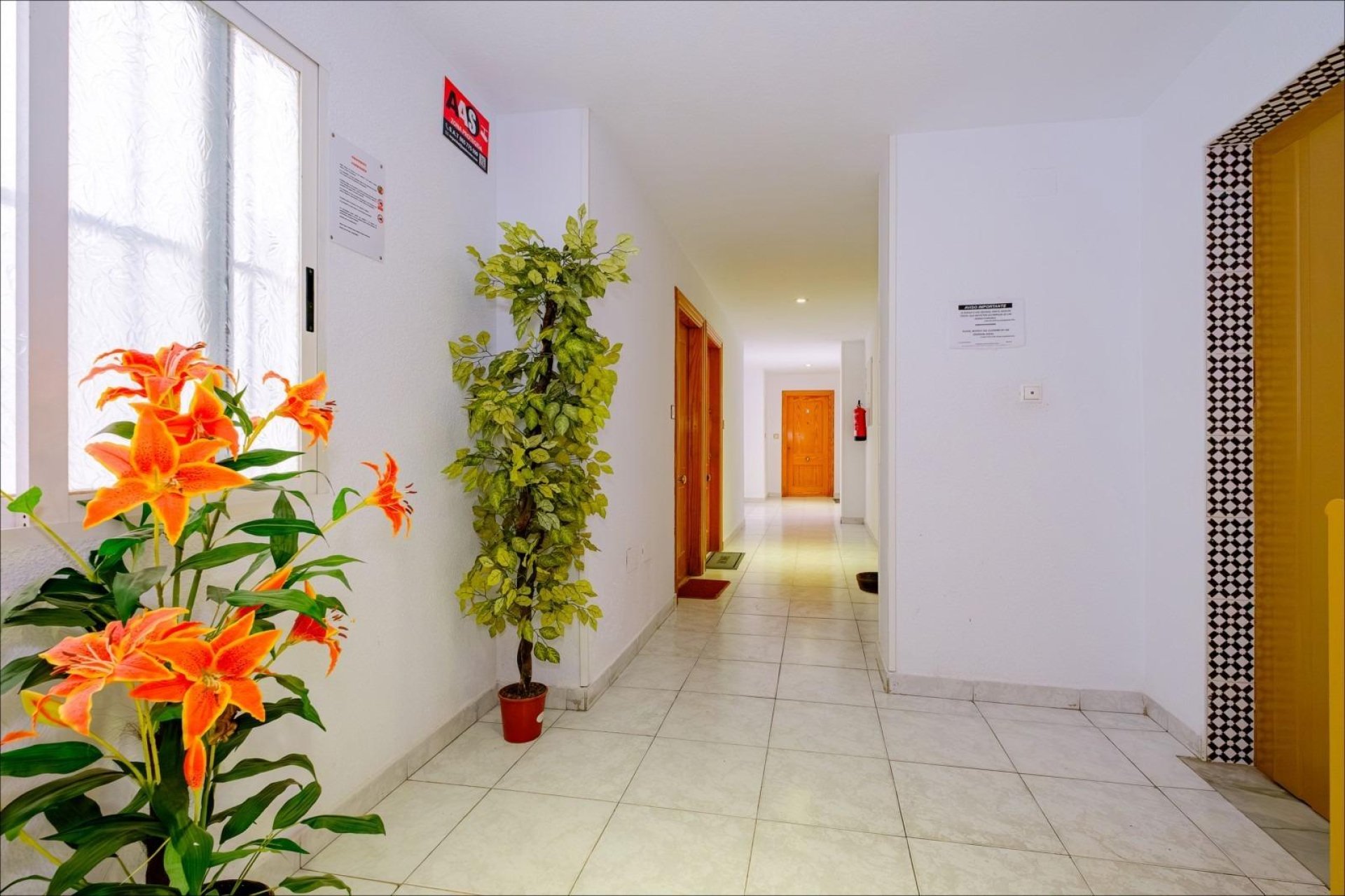 Segunda mano - Apartamento -
Torrevieja - Playa del Cura