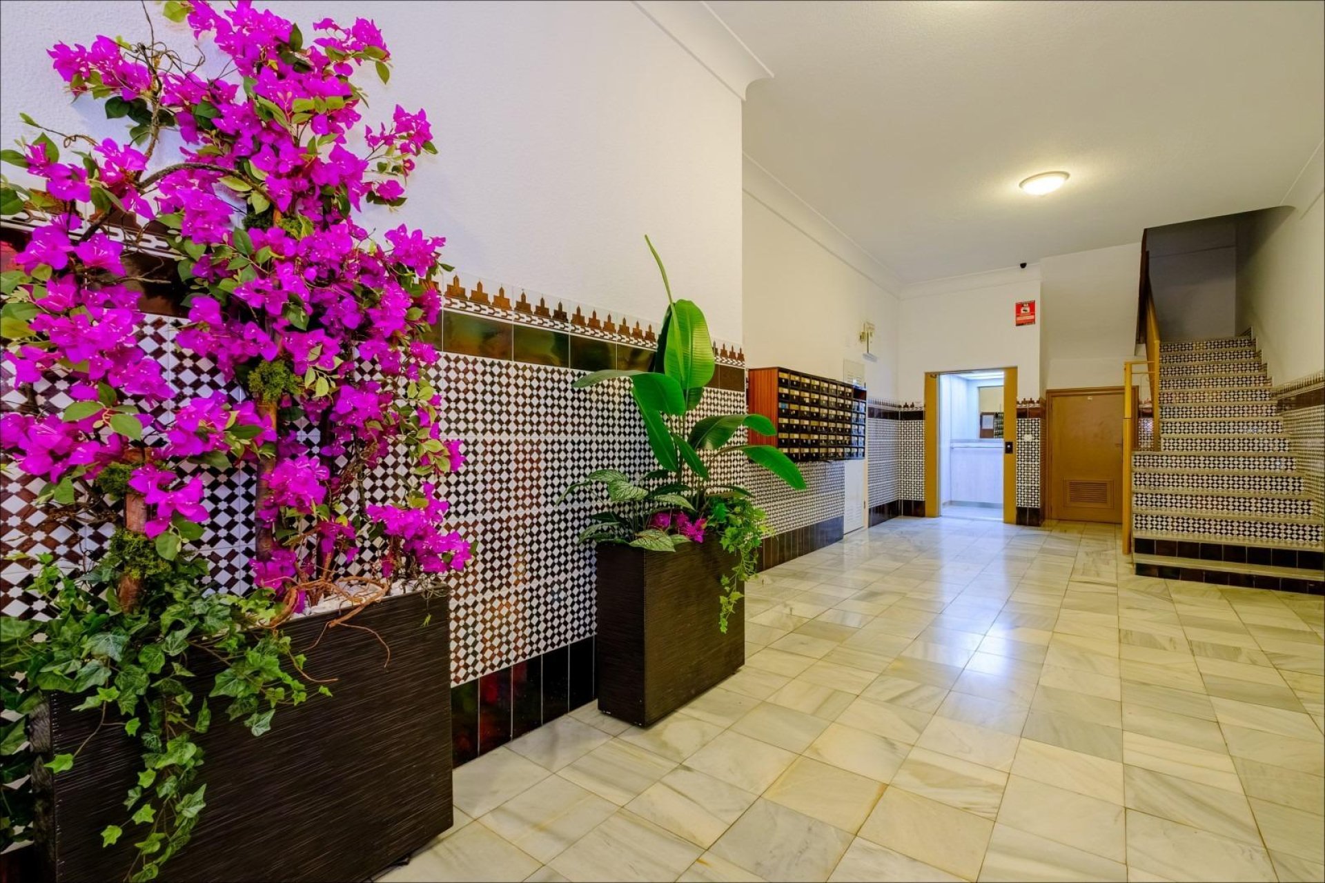 Segunda mano - Apartamento -
Torrevieja - Playa del Cura