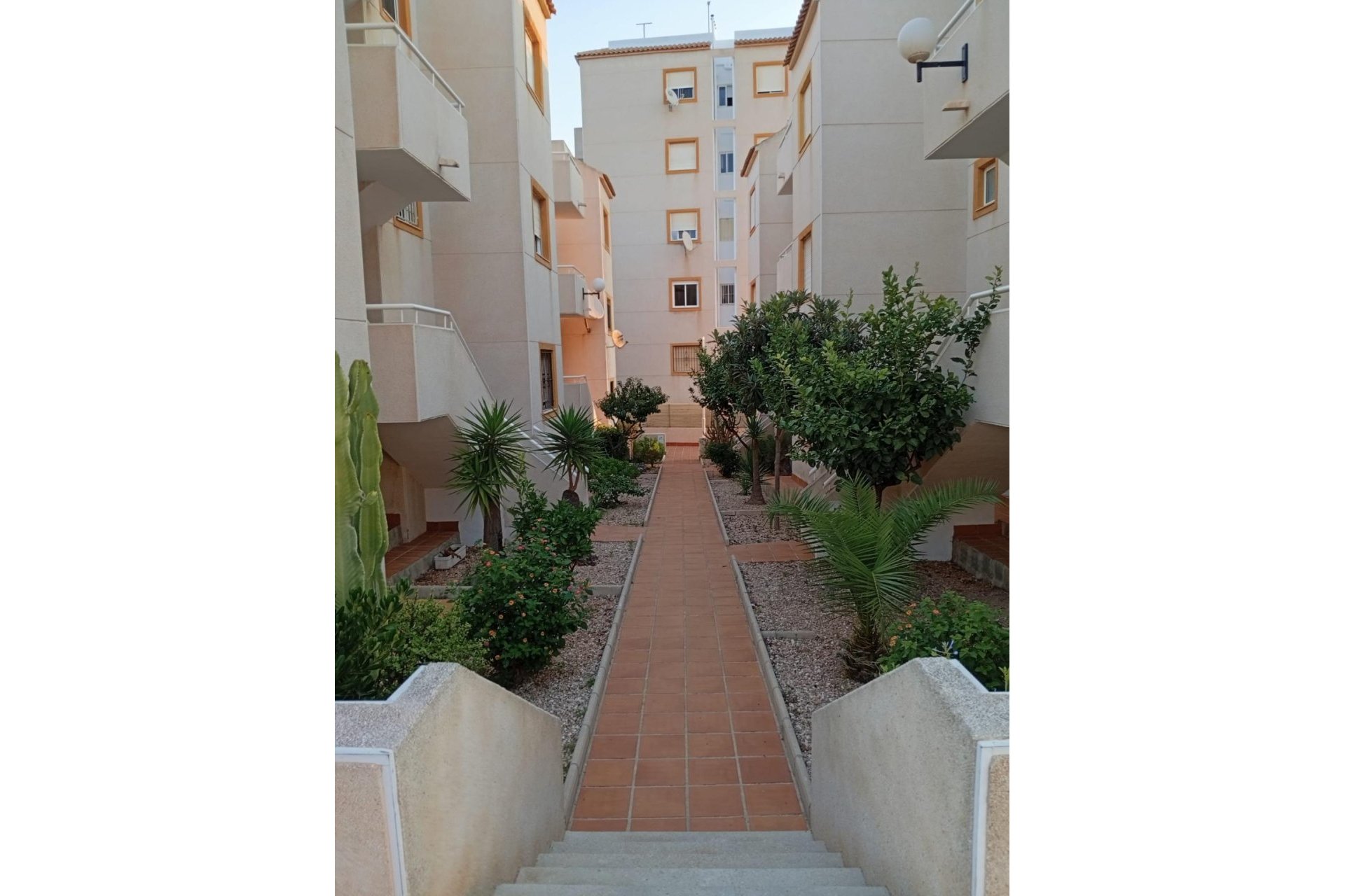 Segunda mano - Apartamento -
Torrevieja - Torreblanca