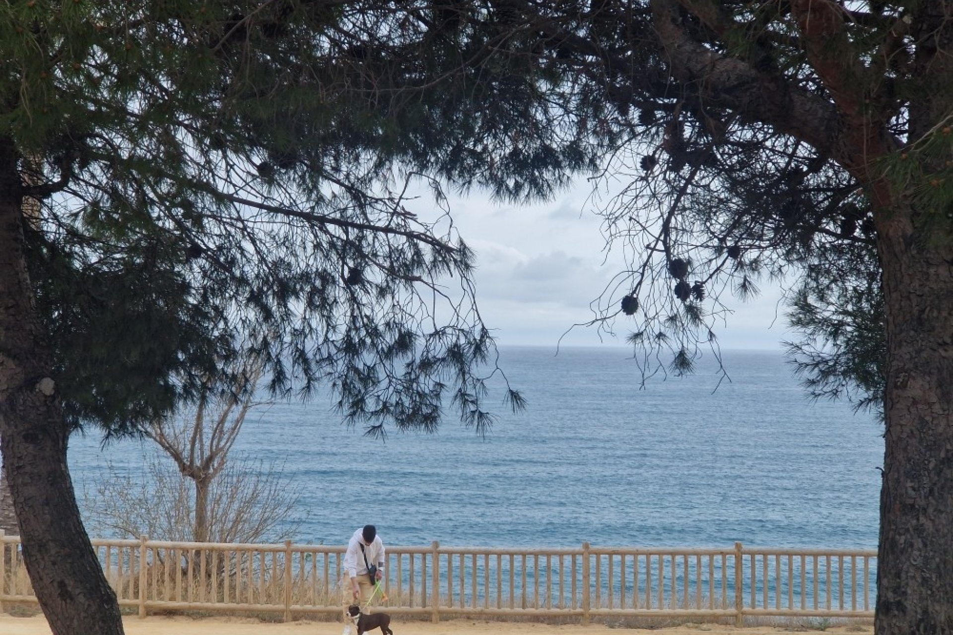 Segunda mano - Apartamento -
Villajoyosa - Costa Blanca