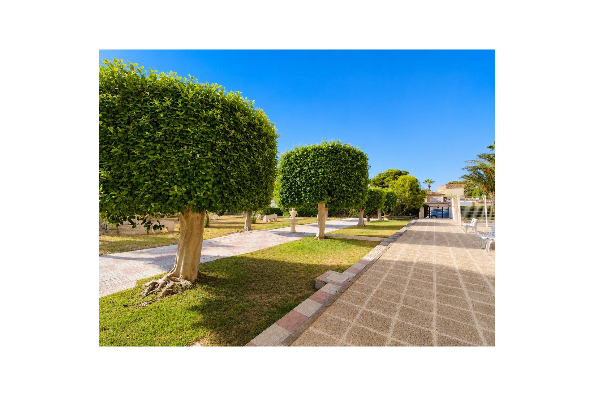 Segunda mano - Ático -
La Zenia - Costa Blanca