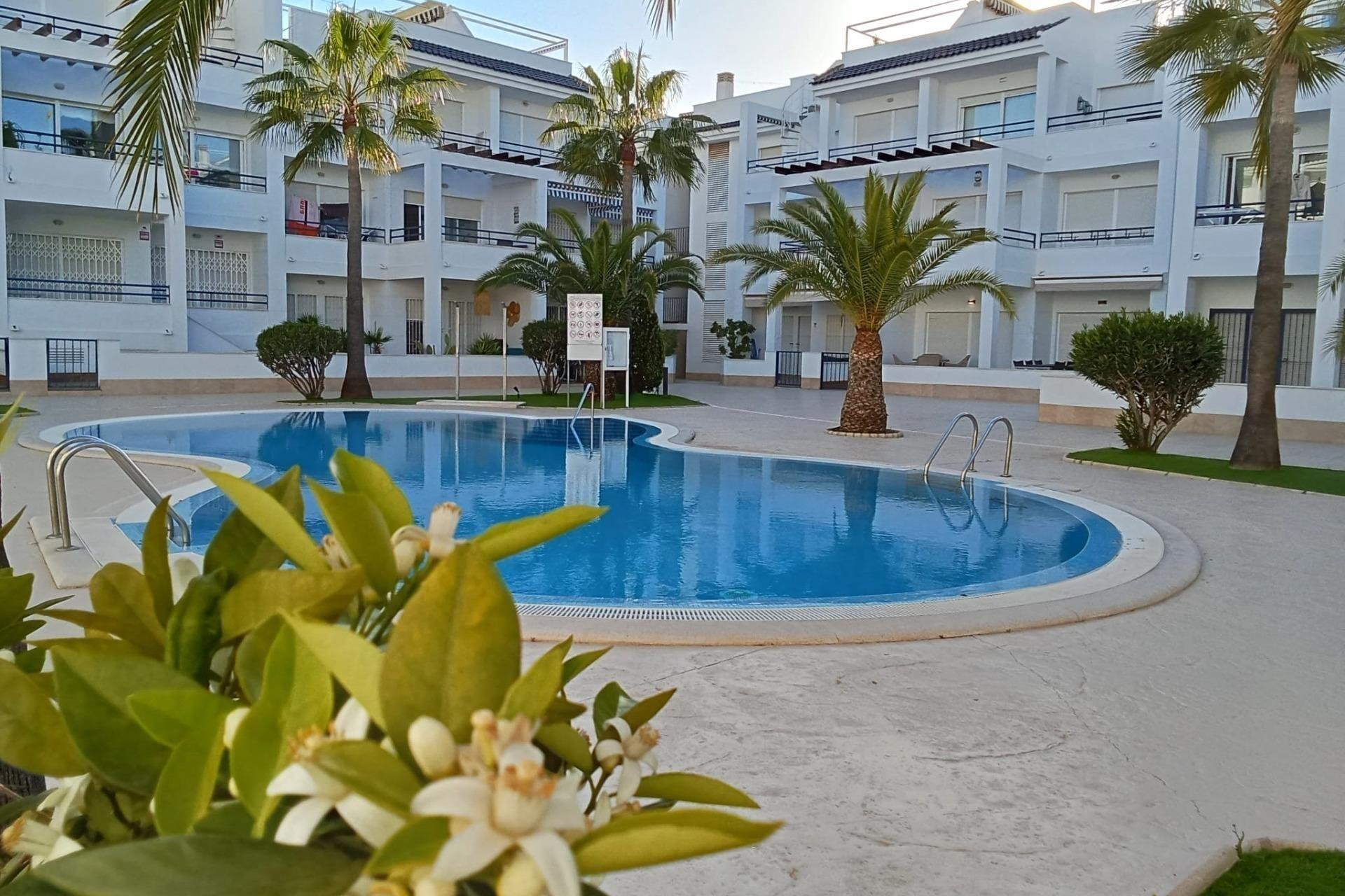 Segunda mano - Ático -
Torrevieja - La Veleta