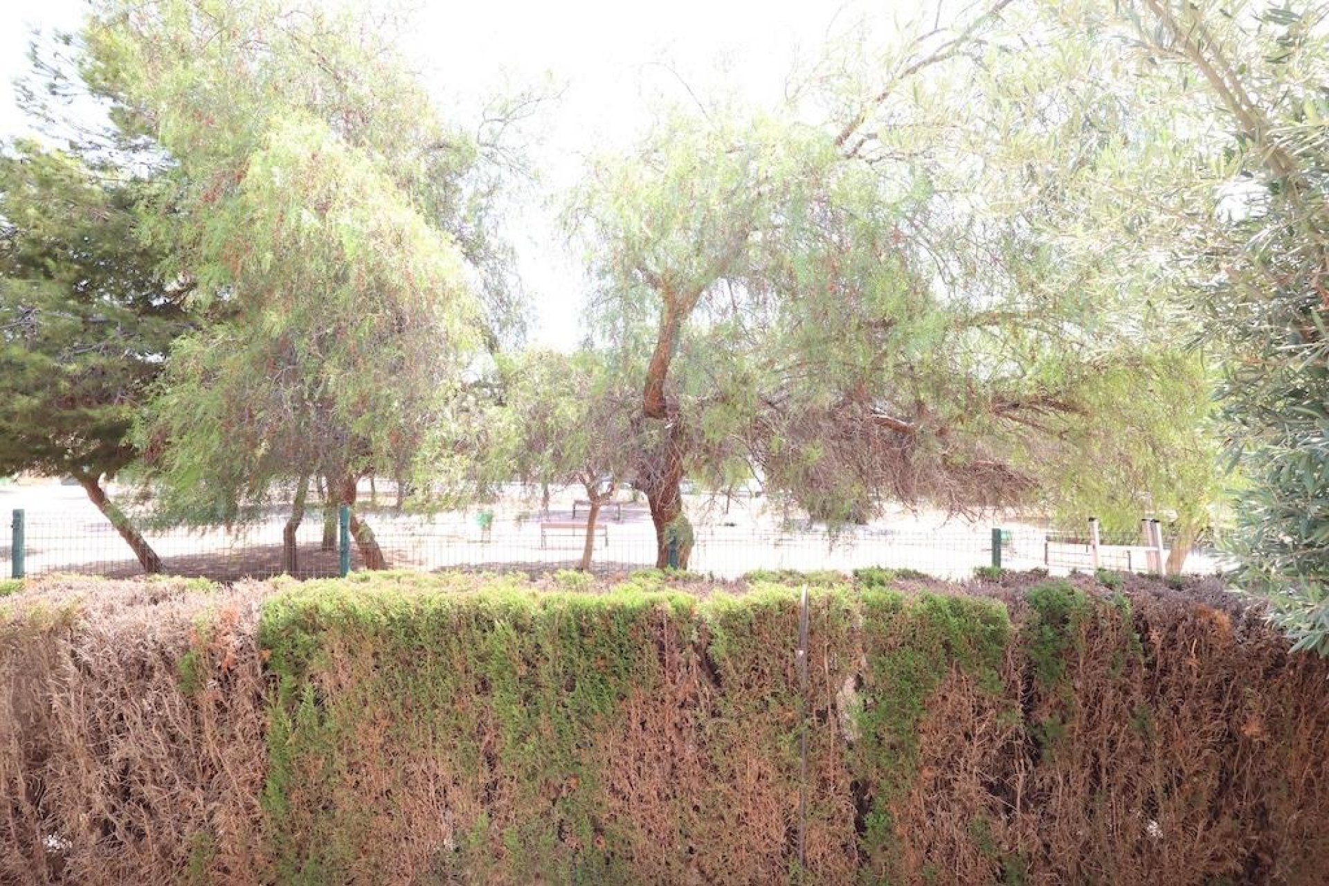 Segunda mano - Bungalow -
Orihuela Costa - Costa Blanca