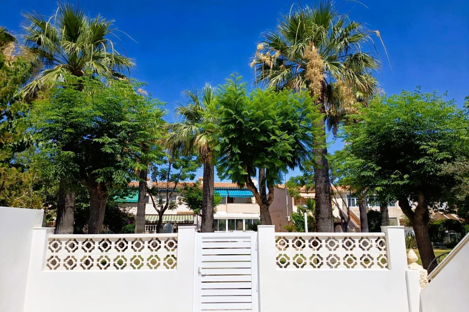Segunda mano - Bungalow -
Orihuela Costa - Costa Blanca
