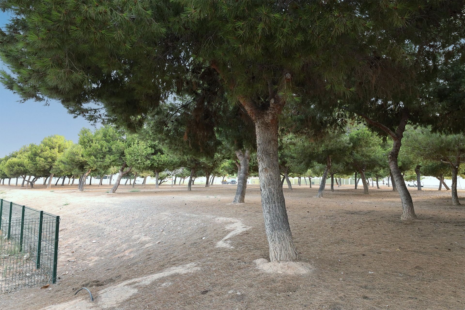 Segunda mano - Bungalow -
San Pedro del Pinatar - Costa Calida