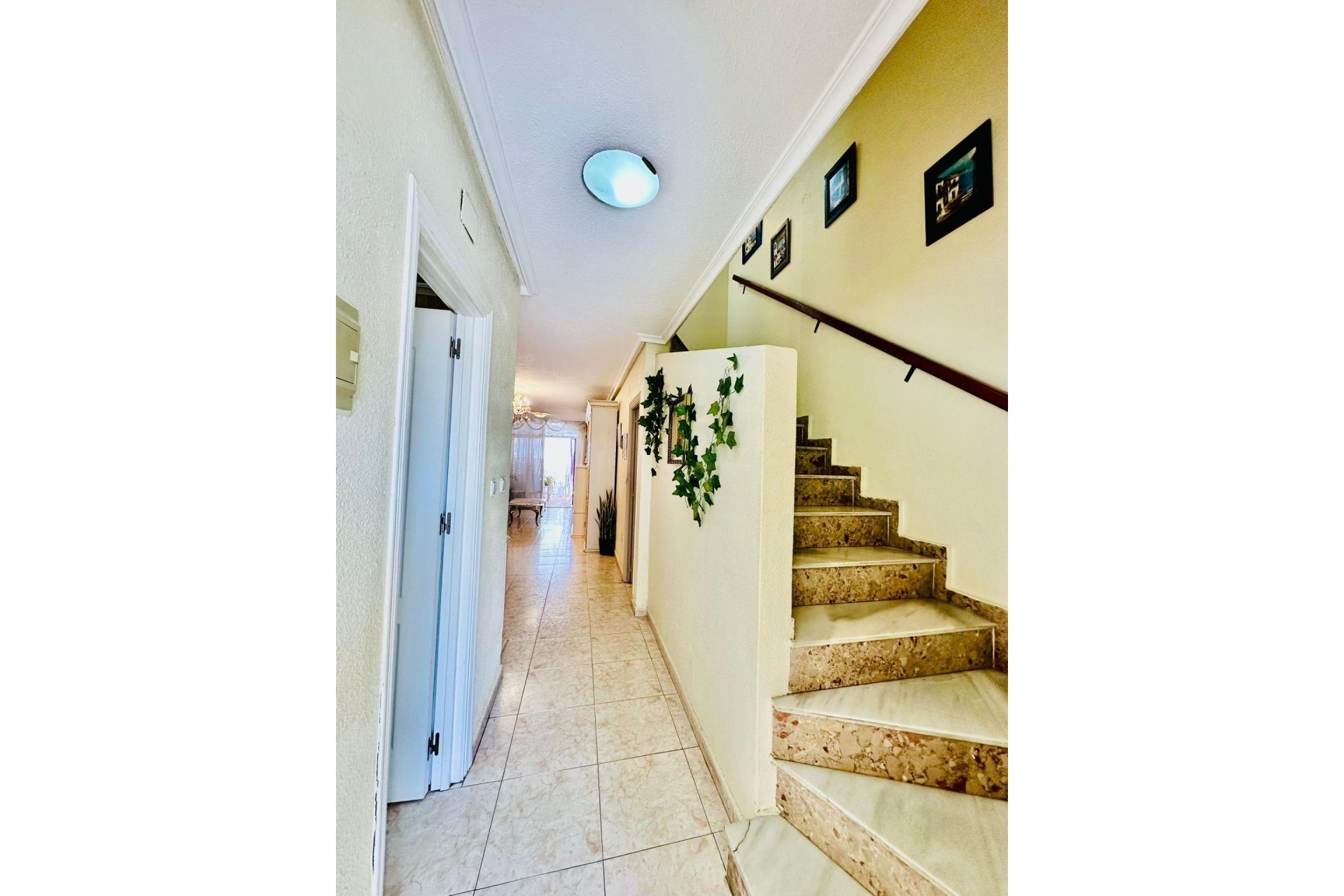 Segunda mano - Bungalow -
Torrevieja - Aguas Nuevas