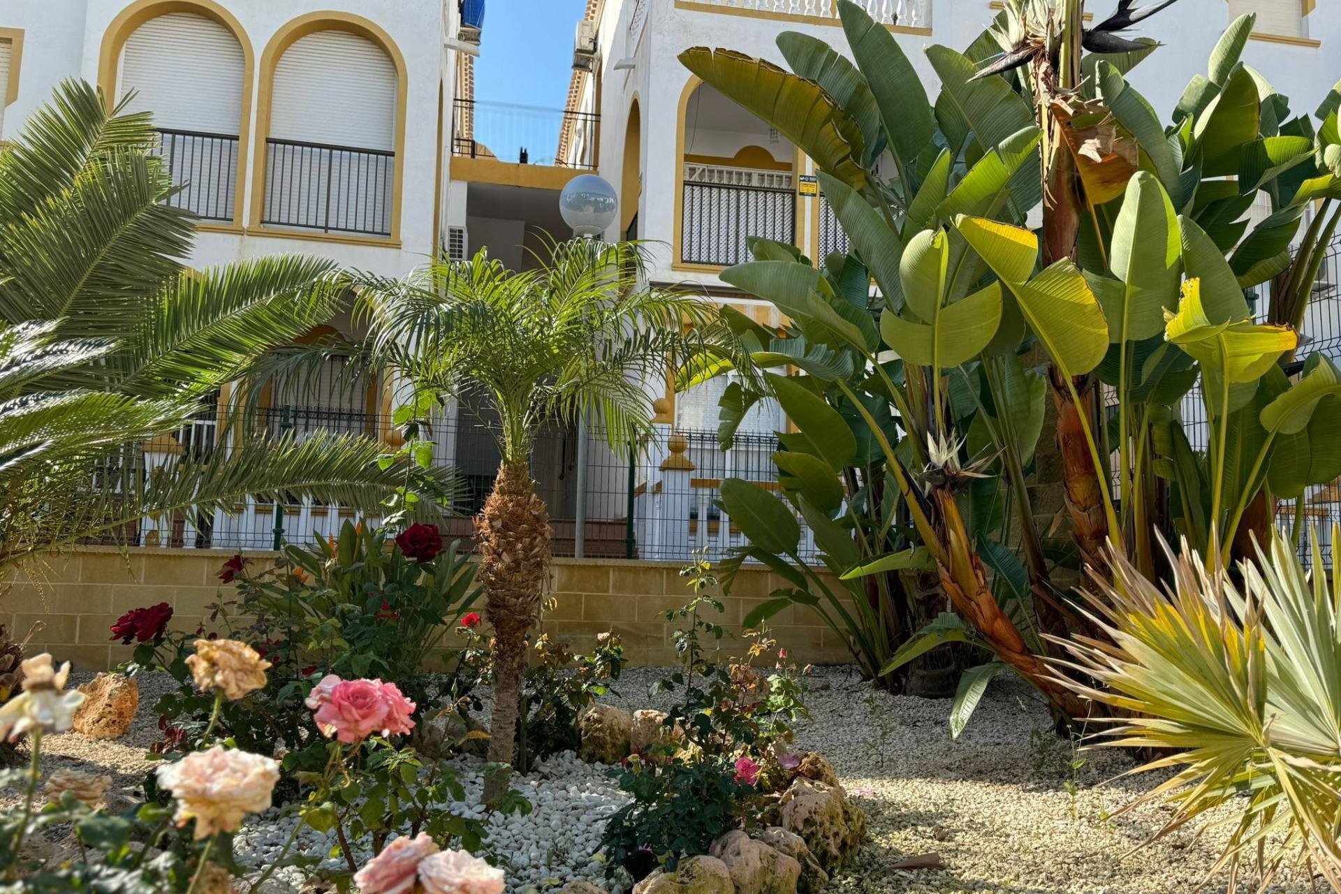 Segunda mano - Bungalow -
Torrevieja - Cañada Del Molino