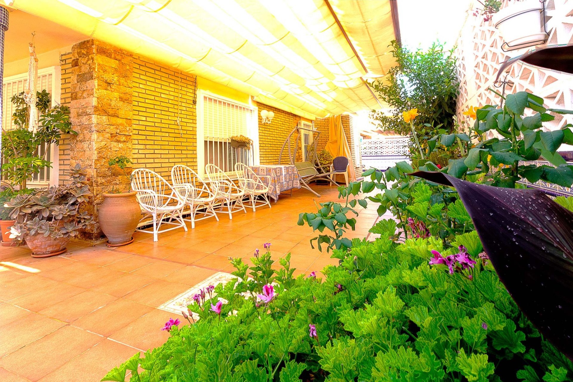 Segunda mano - Bungalow -
Torrevieja - Costa Blanca