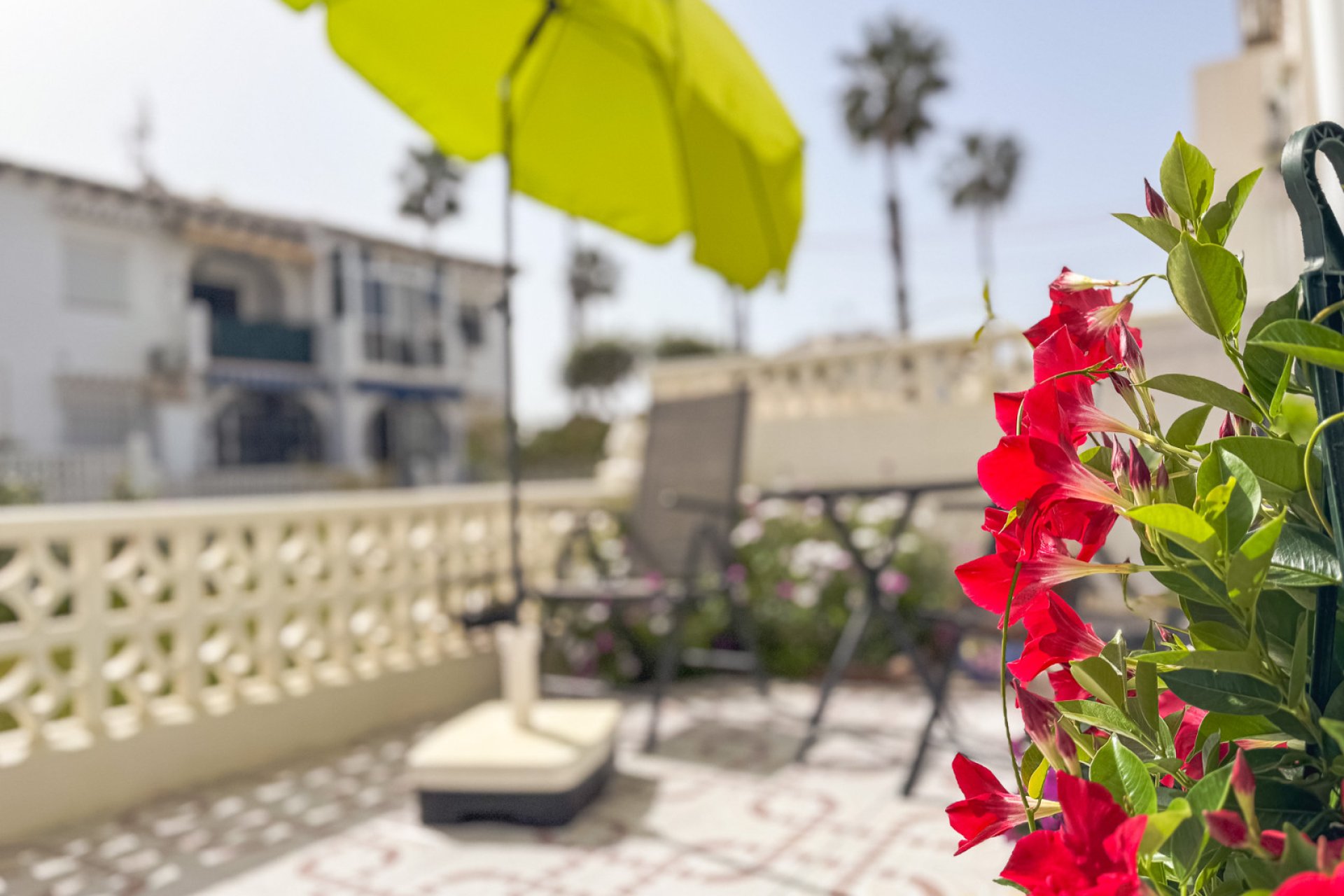 Segunda mano - Bungalow -
Torrevieja - Costa Blanca