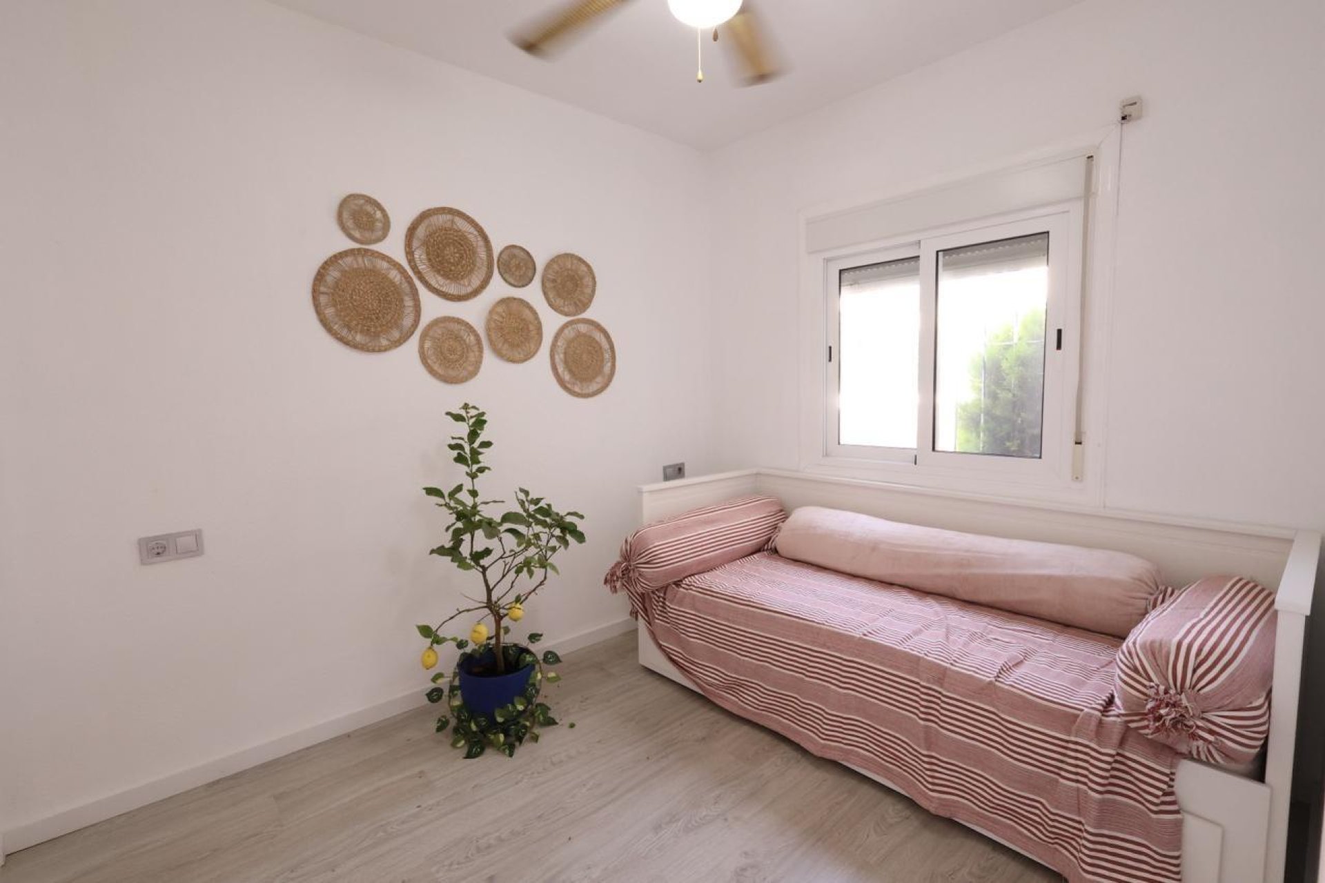 Segunda mano - Bungalow -
Torrevieja - Costa Blanca