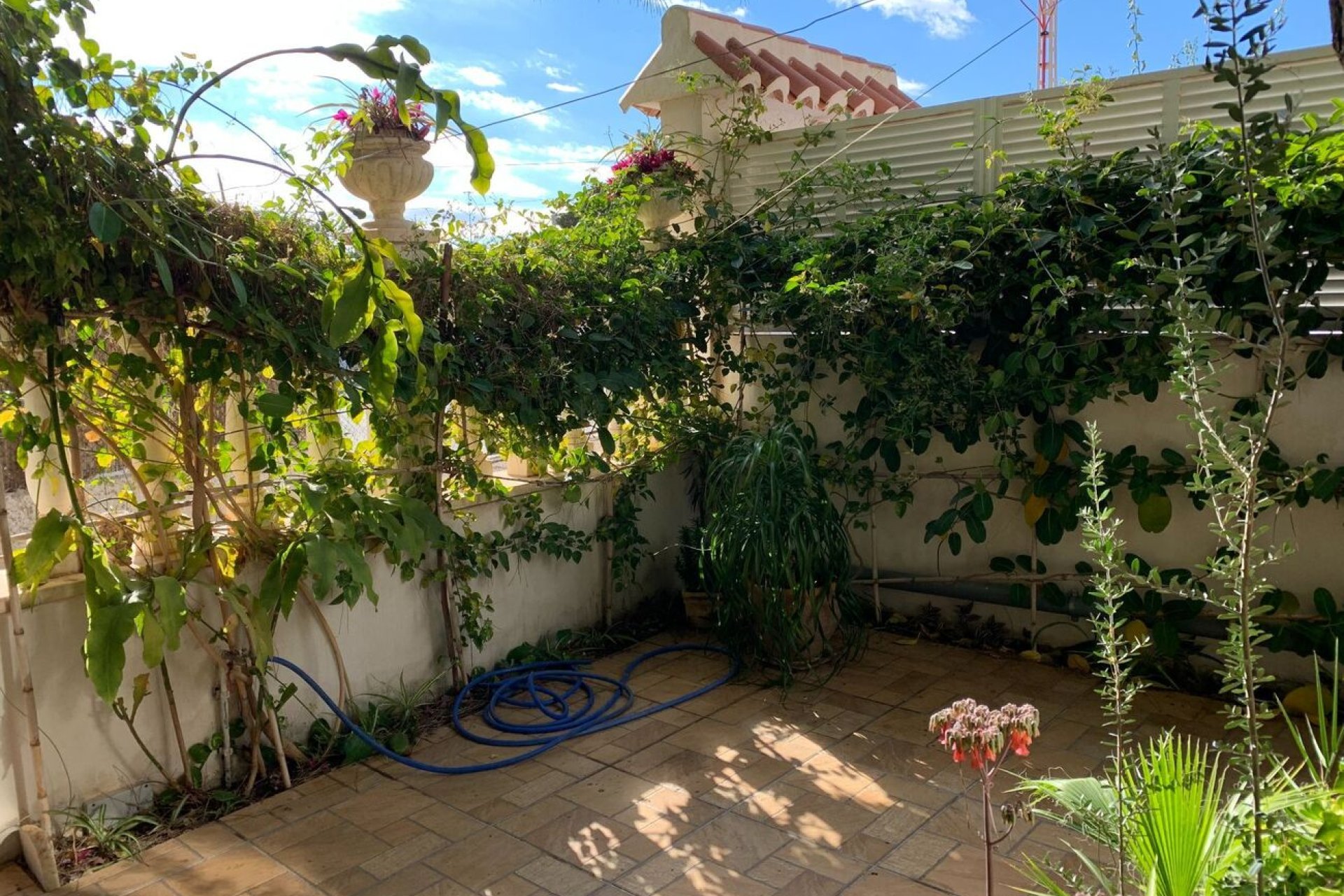 Segunda mano - Duplex -
La Zenia - Costa Blanca