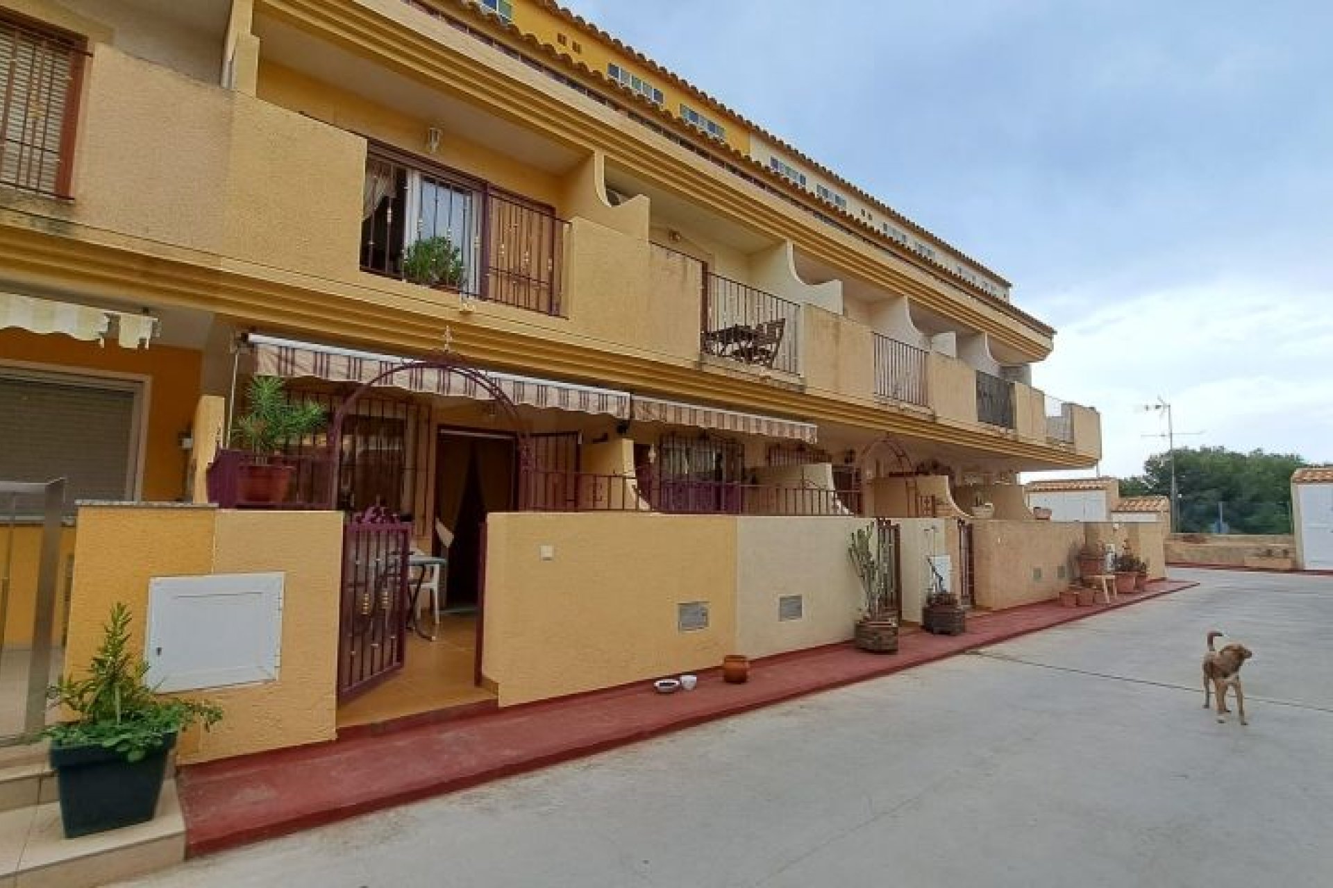 Segunda mano - Duplex -
Orihuela Costa - Costa Blanca