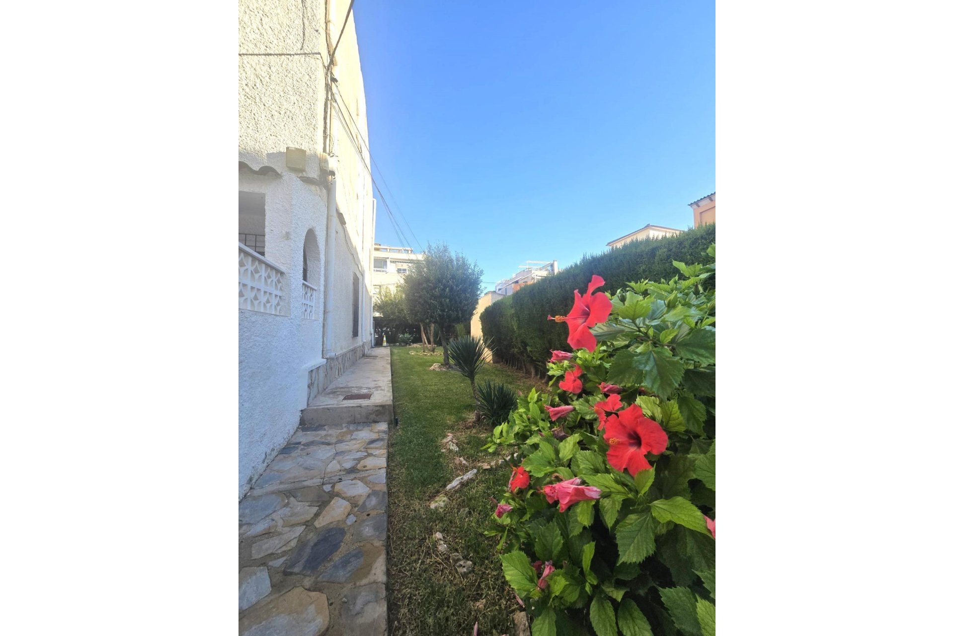 Segunda mano - Duplex -
Torrevieja - Habaneras