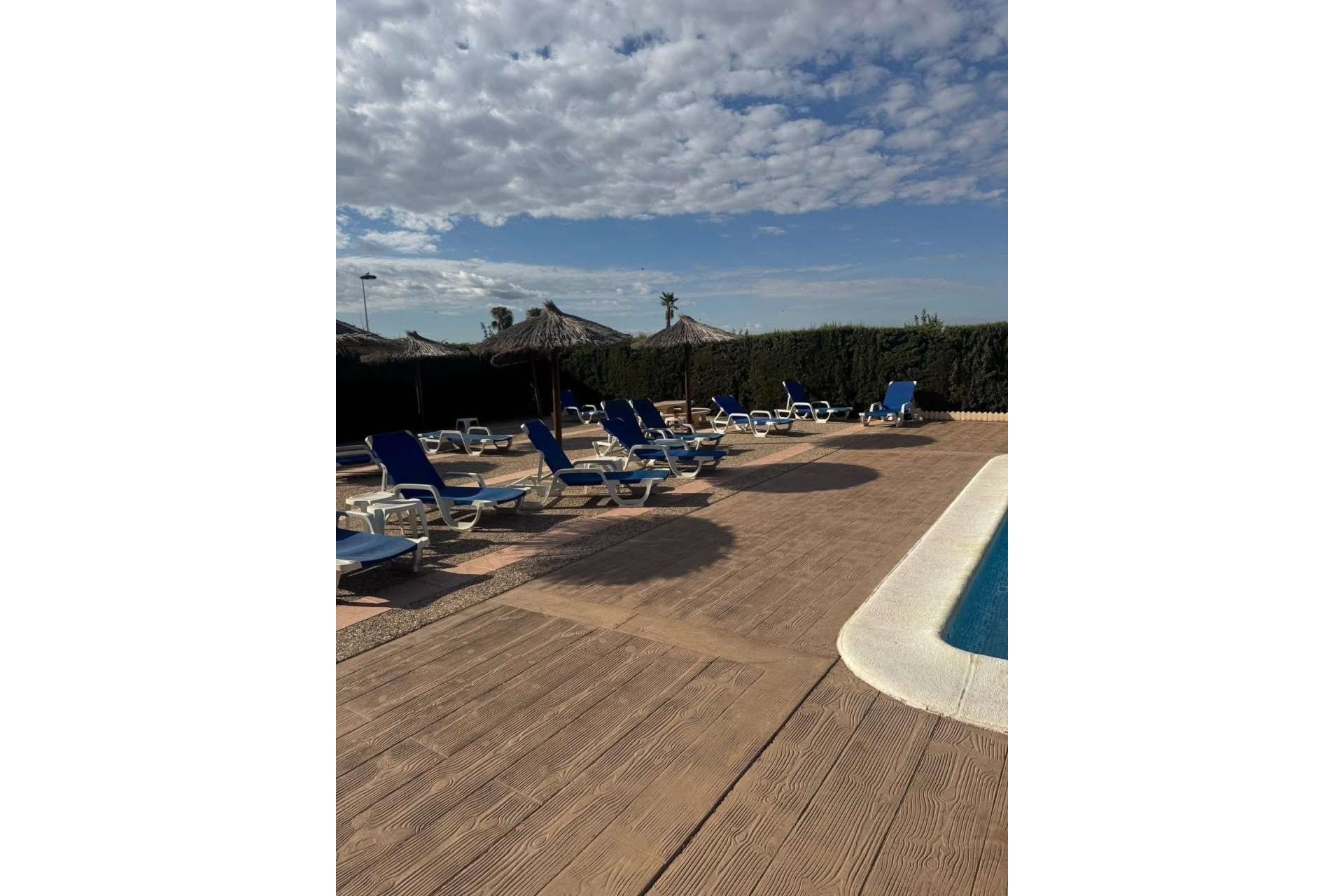 Segunda mano - Duplex -
Torrevieja - Torretas