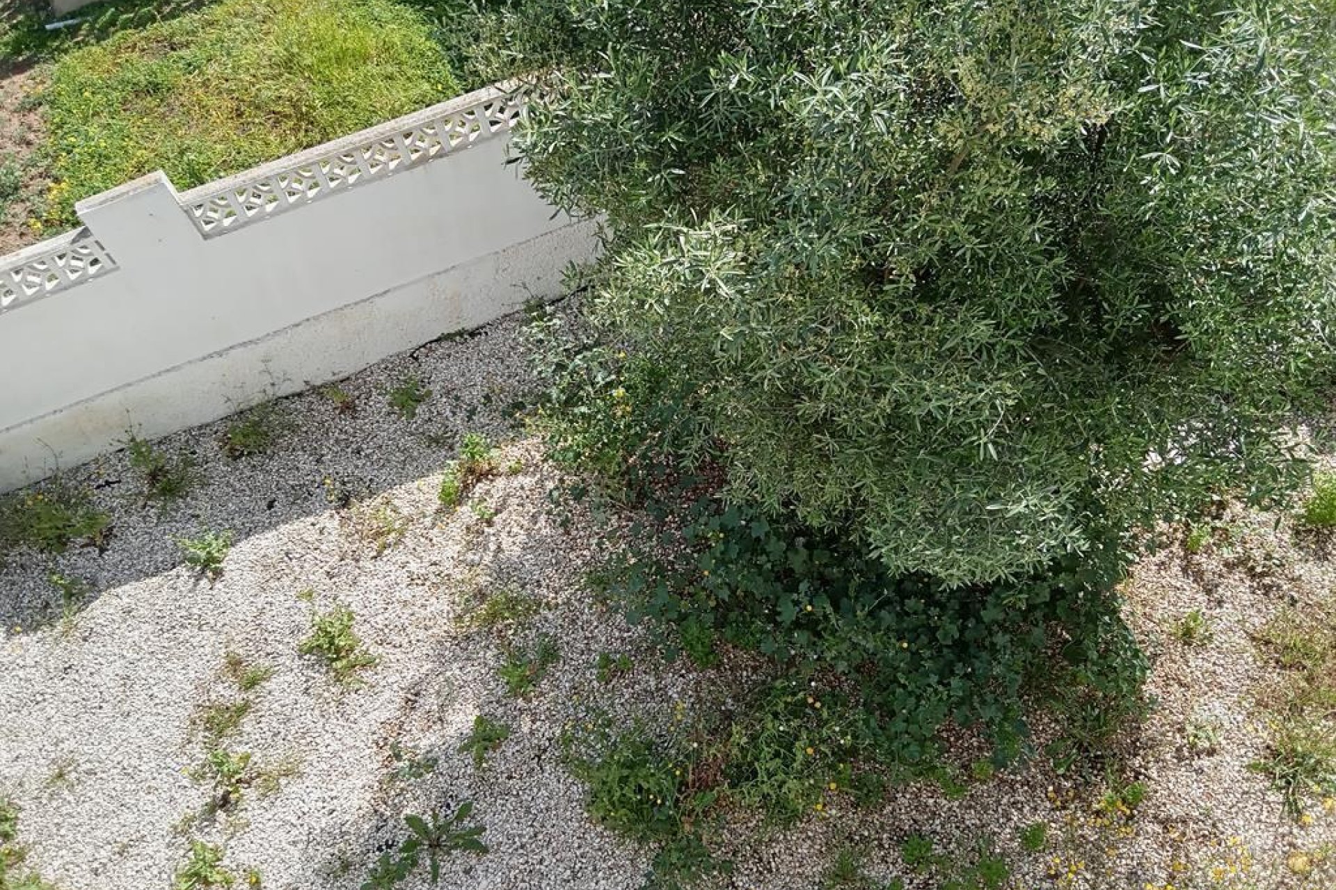 Segunda mano - Semi Detached -
Torrevieja - Los Balcones
