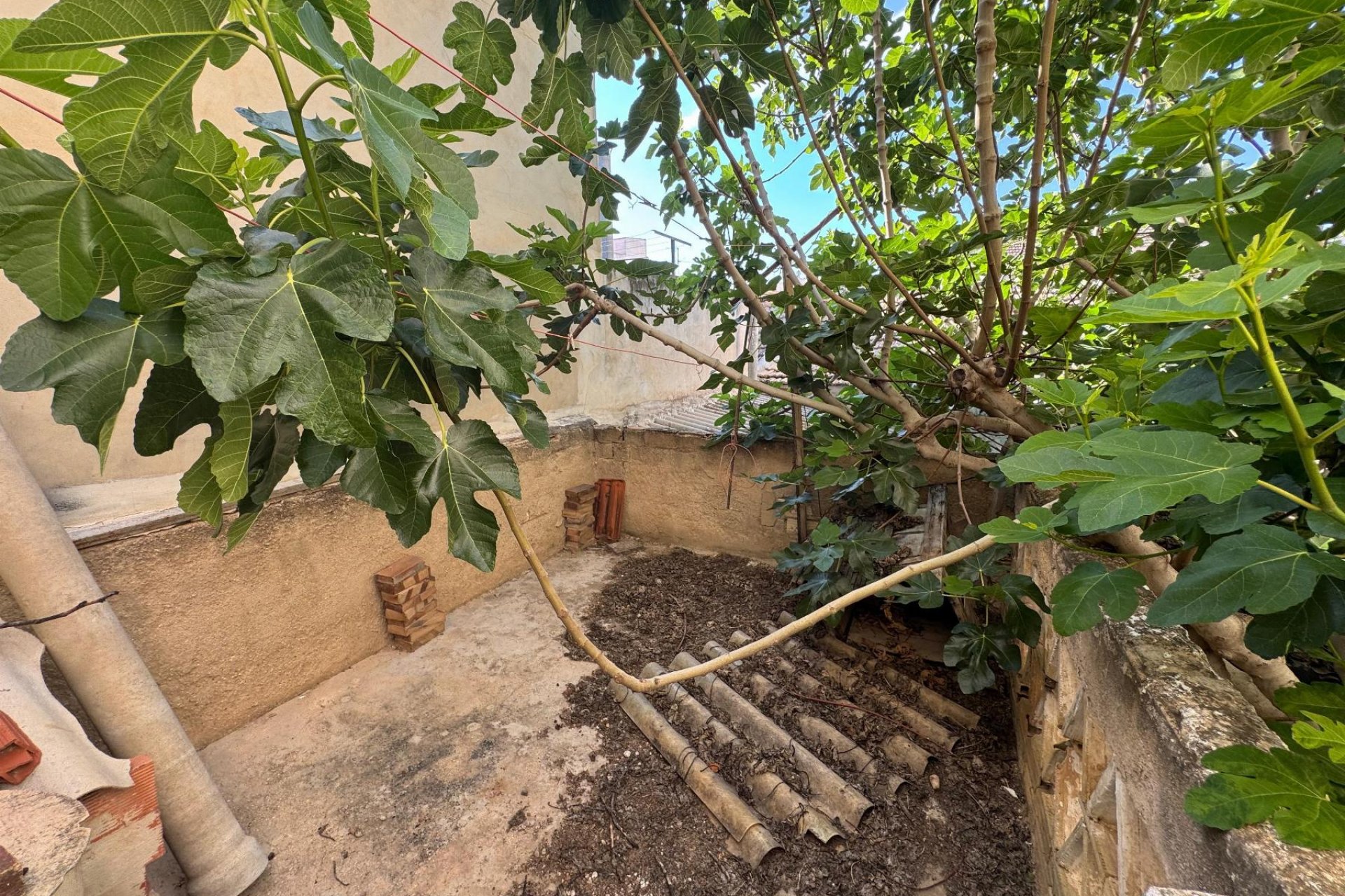 Segunda mano - Town House -
Benejúzar - Inland