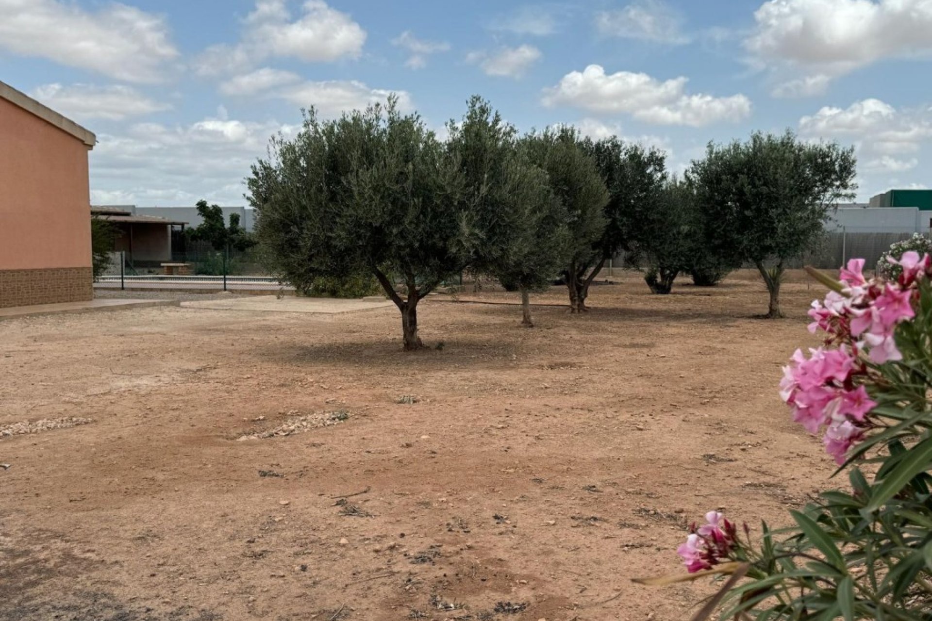 Segunda mano - Town House -
Fuente Álamo - Inland