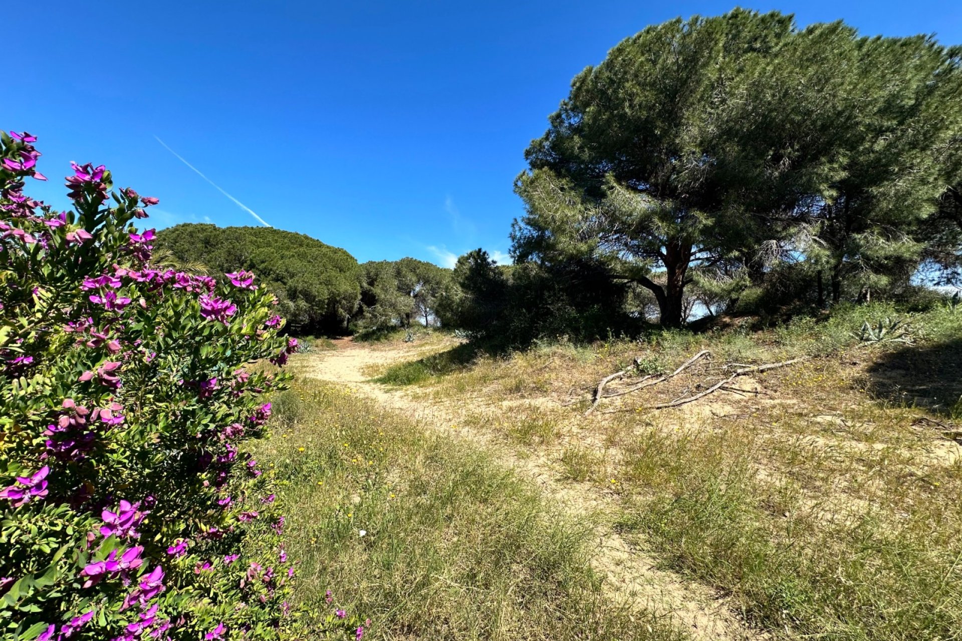 Segunda mano - Town House -
Guardamar del Segura - Costa Blanca