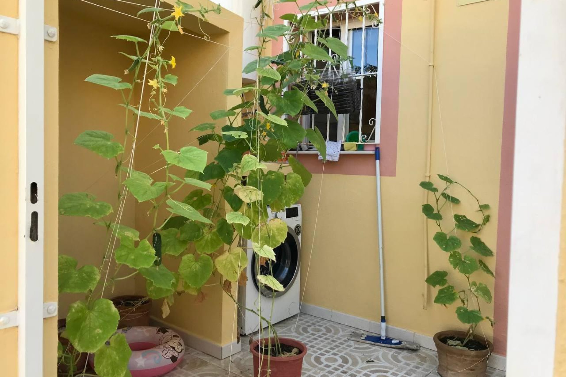 Segunda mano - Town House -
Orihuela Costa - Villamartín-las Filipinas