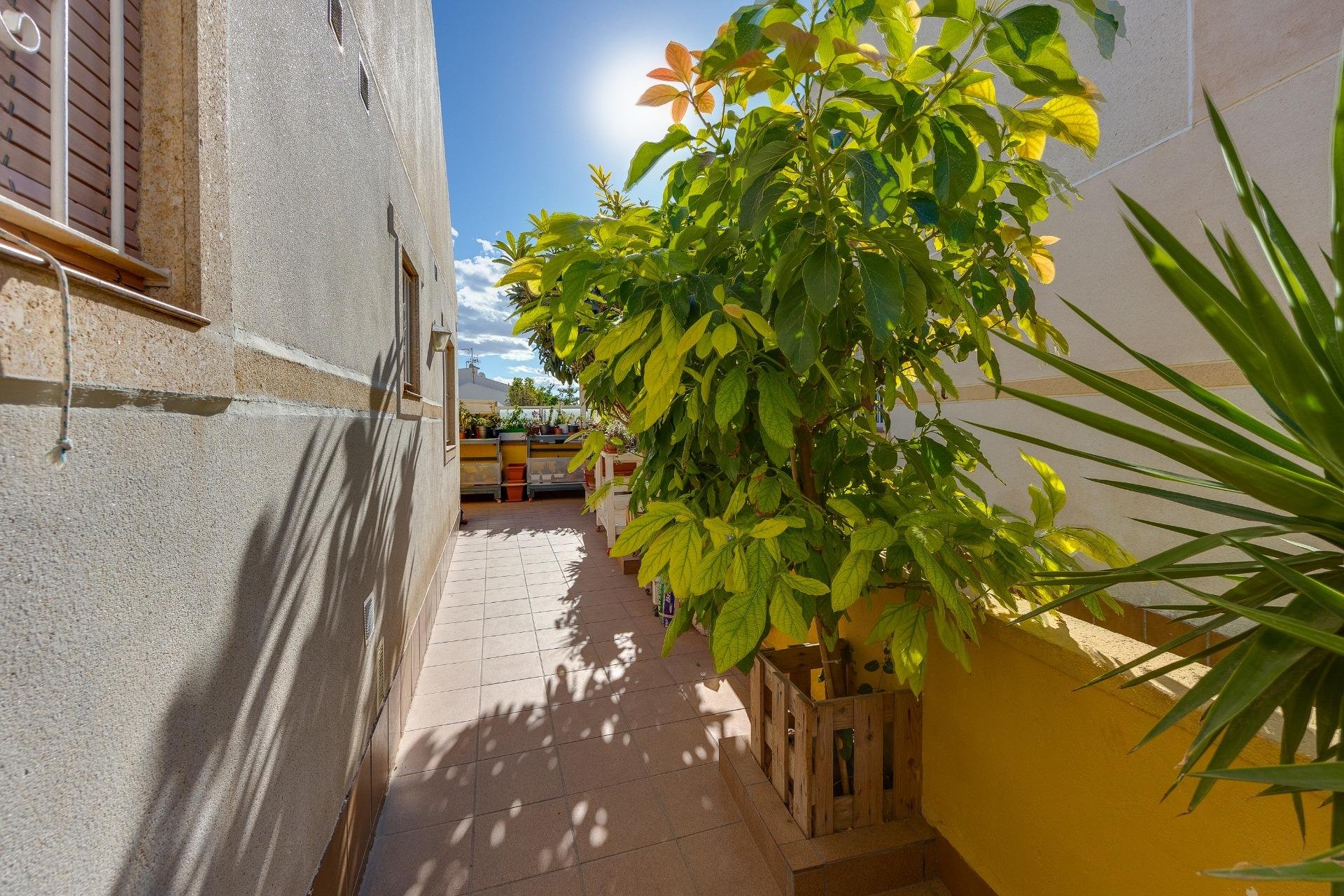 Segunda mano - Town House -
Torrevieja - Aguas Nuevas 2