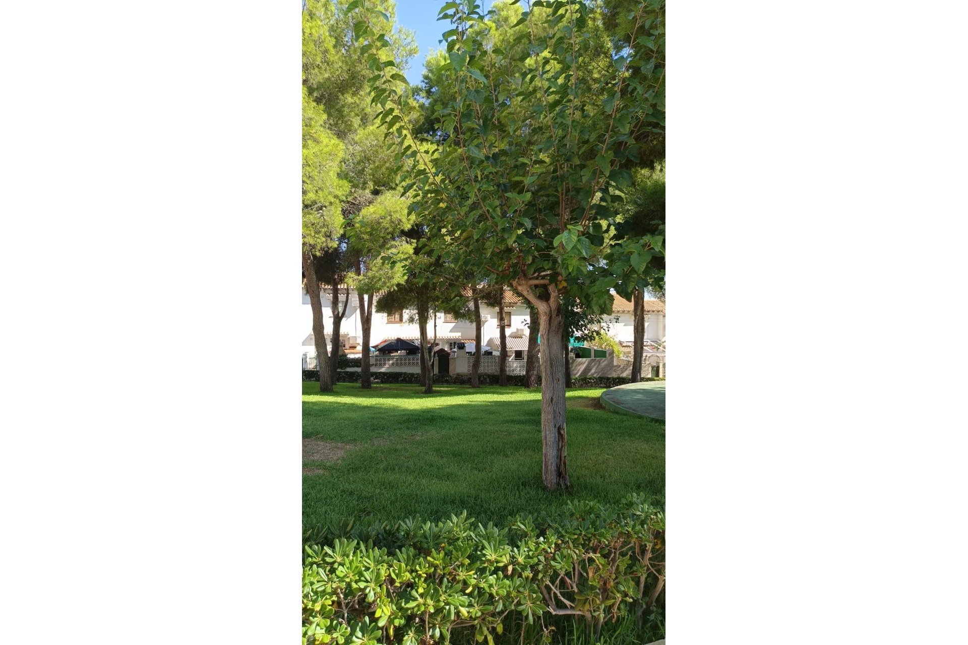 Segunda mano - Town House -
Torrevieja - Los Balcones