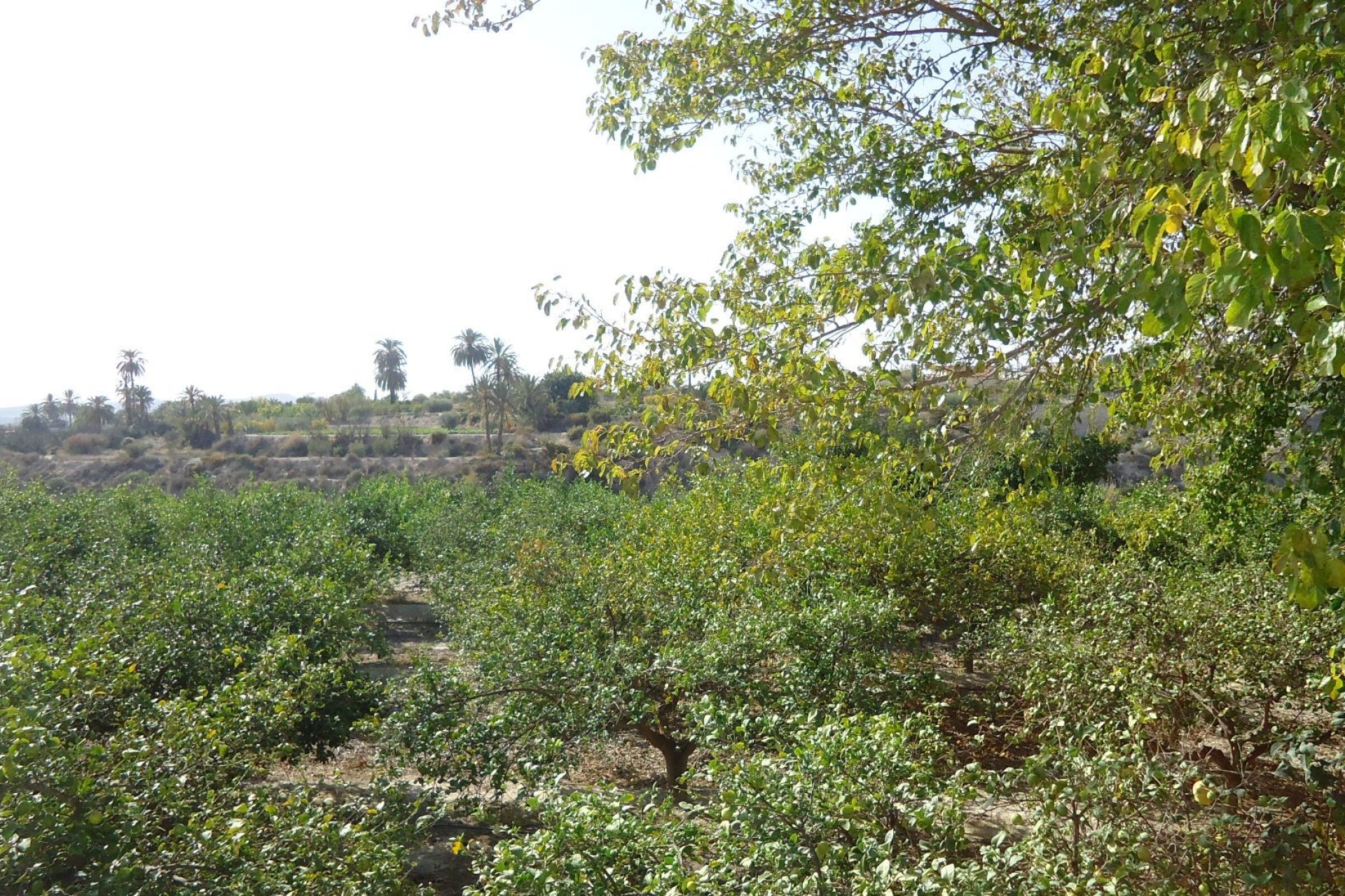 Segunda mano - Villa -
Abanilla - Inland