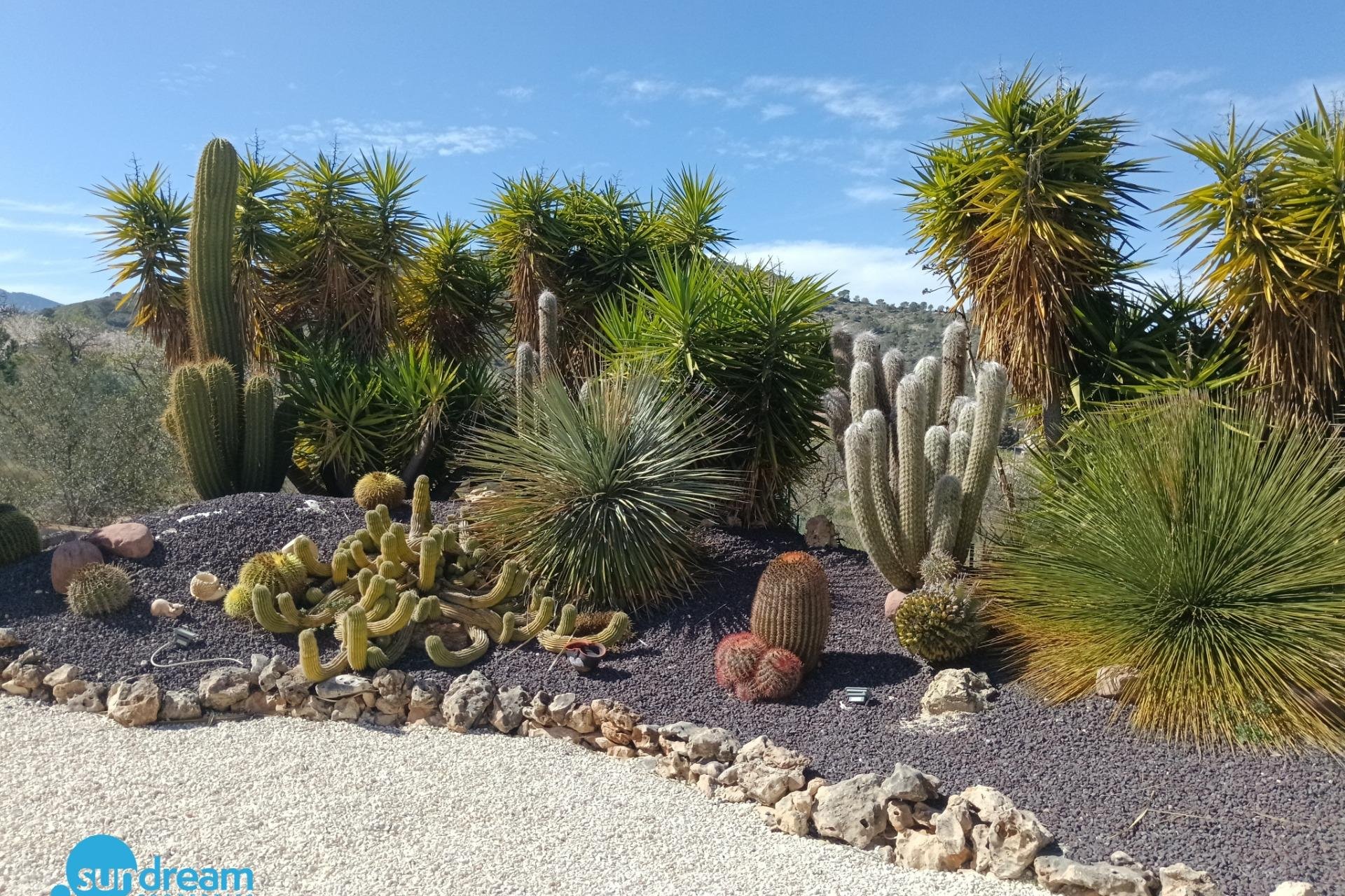 Segunda mano - Villa -
Abanilla